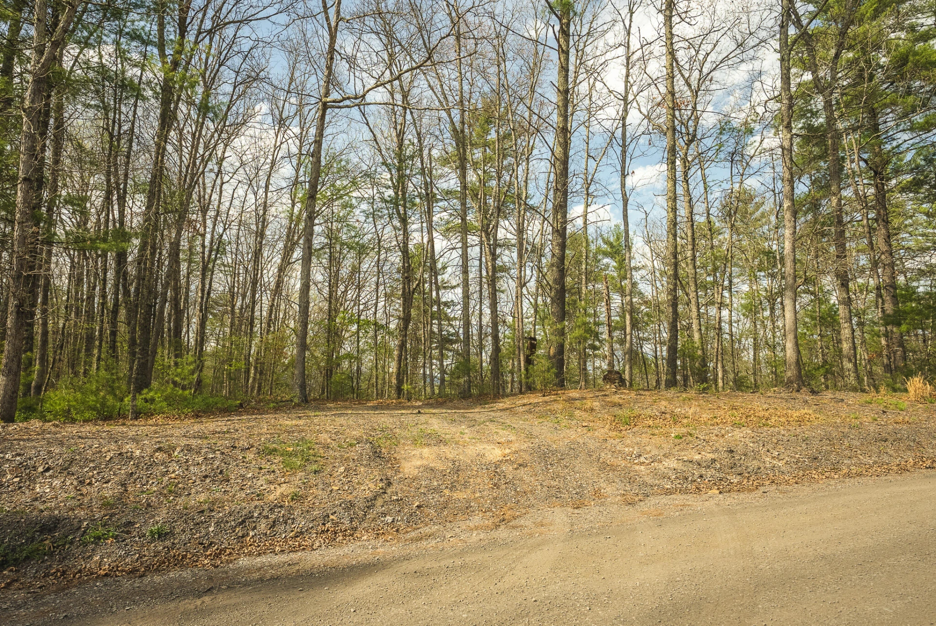 TBD Whip-Poor Will Hollow RD - Photo 49