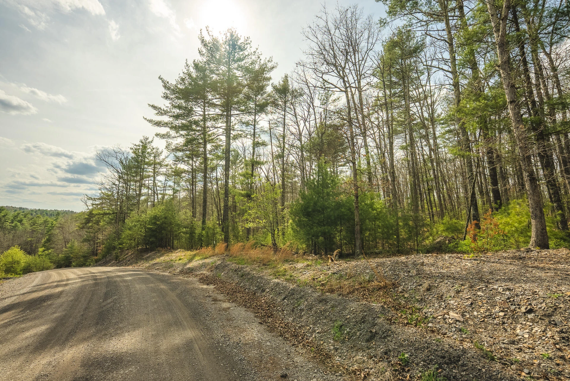 TBD Whip-Poor Will Hollow RD - Photo 50