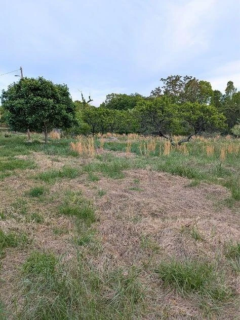 601 Farmers Mountain RD - Photo 19