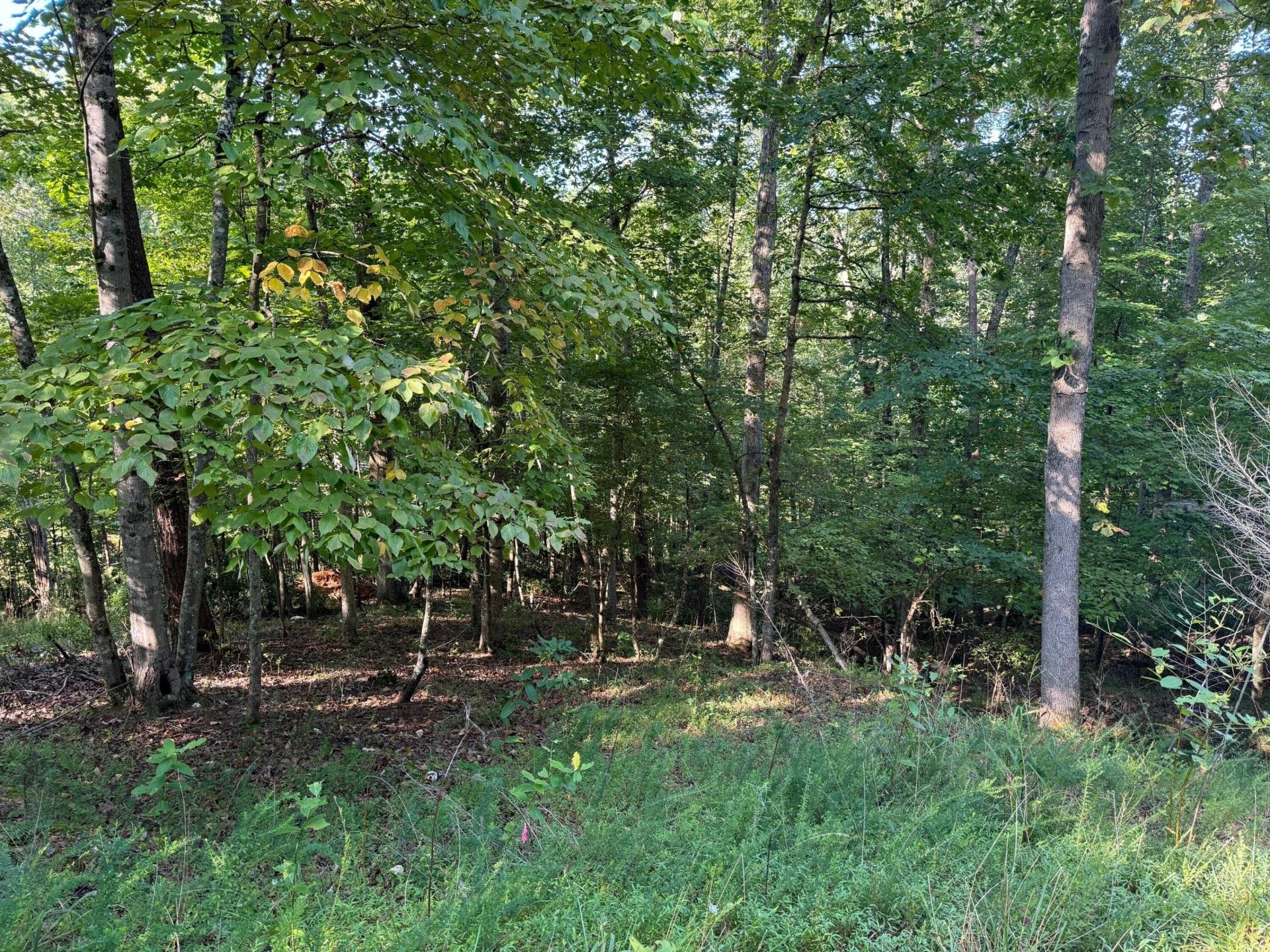 2 Cedar Bluff LN - Photo 2