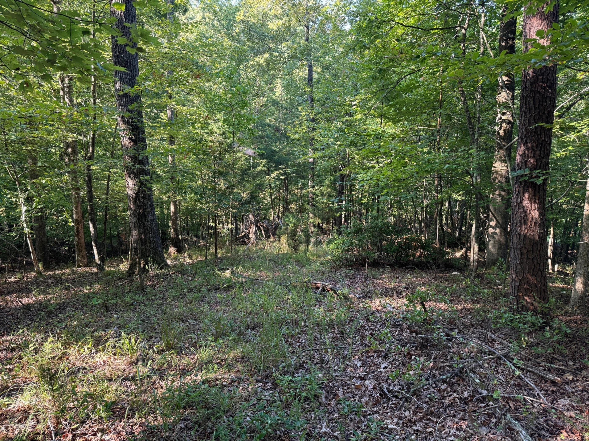 2 Cedar Bluff LN - Photo 3