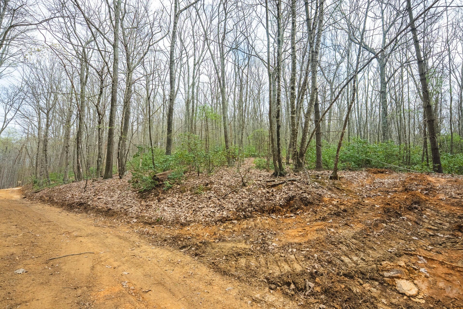 TBD Cox Store RD SW - Photo 10