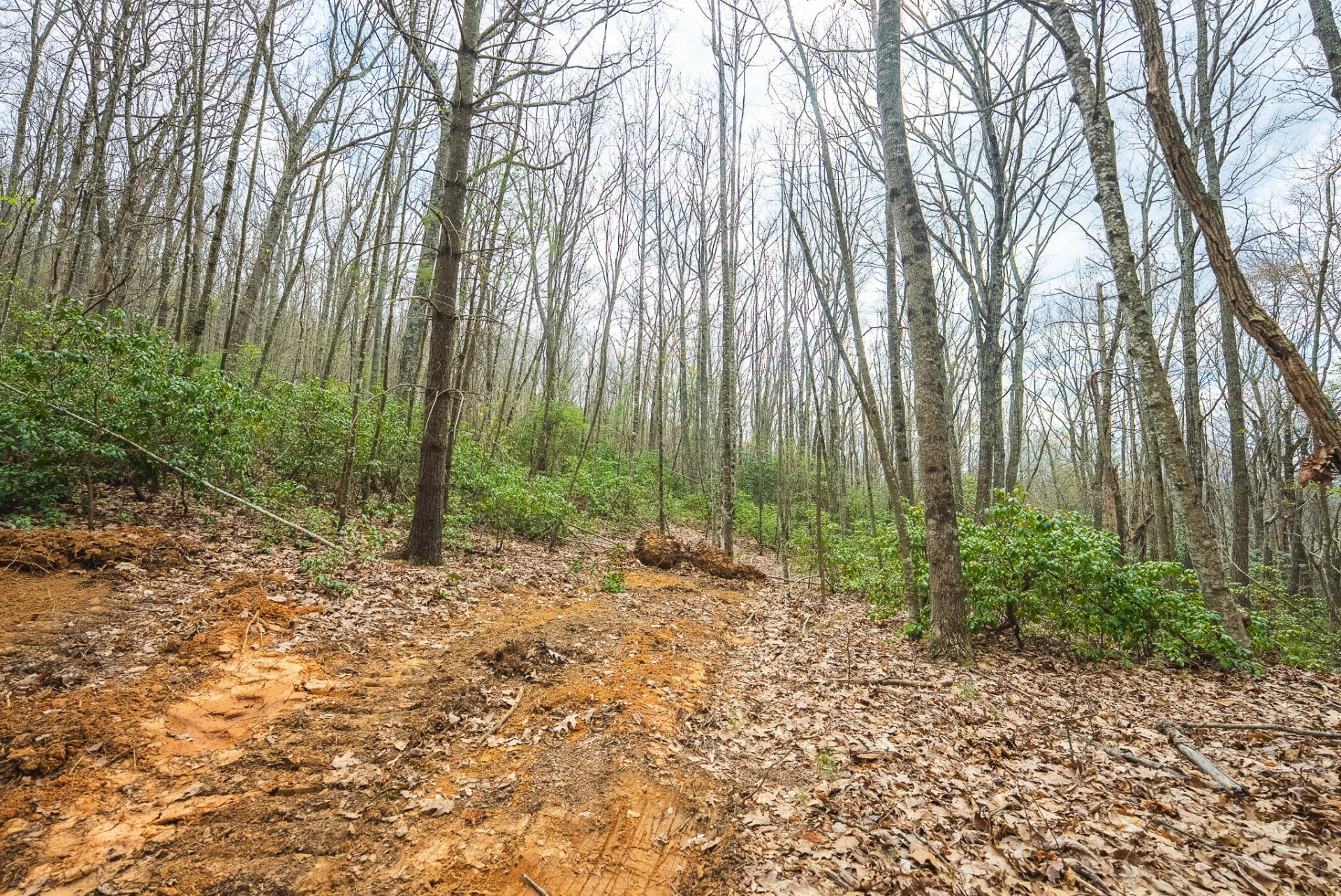 TBD Cox Store RD SW - Photo 11