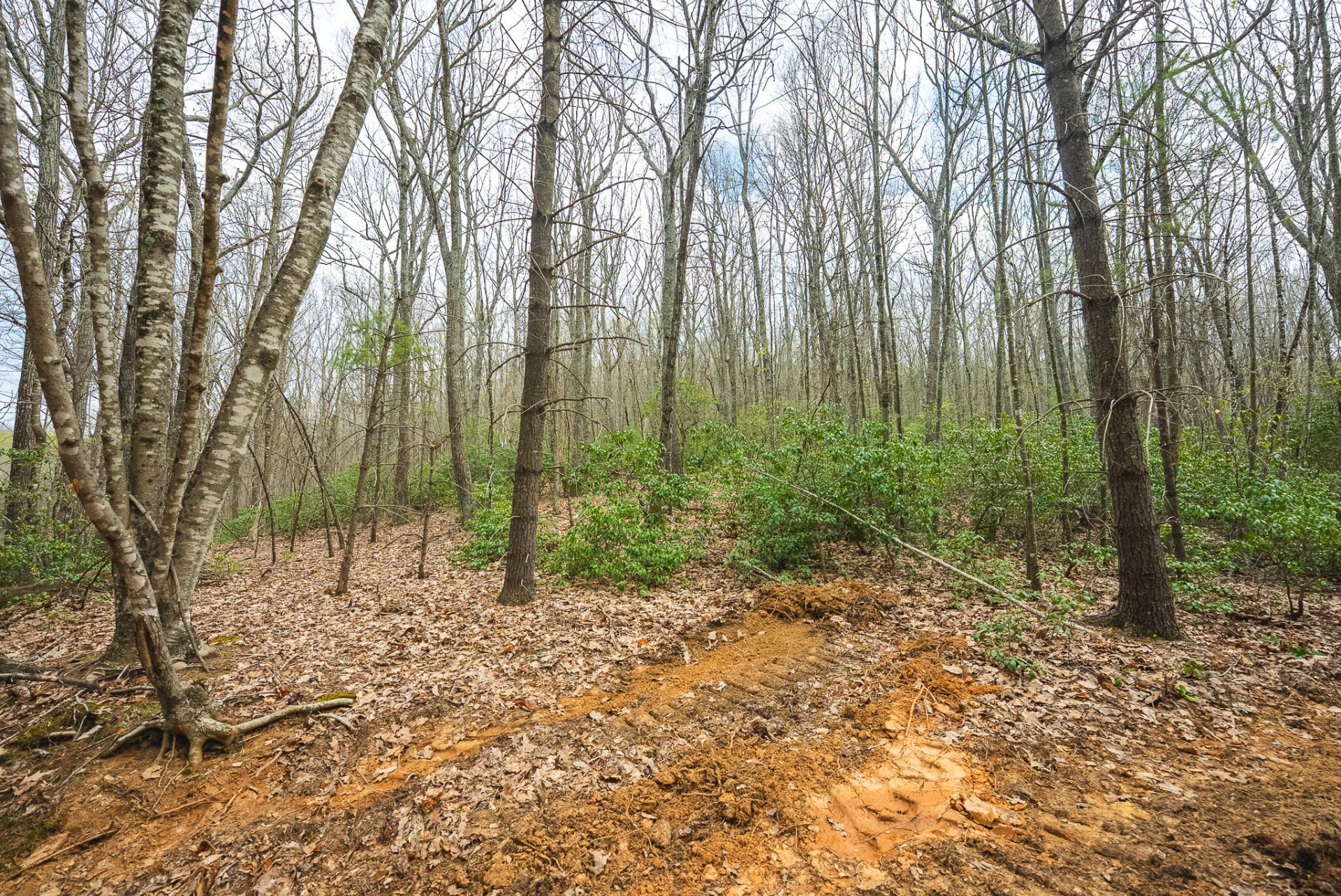 TBD Cox Store RD SW - Photo 12