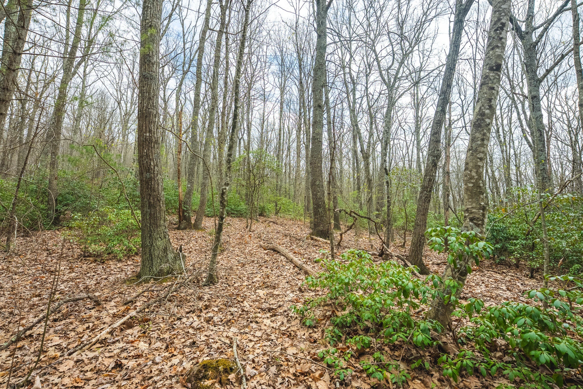 TBD Cox Store RD SW - Photo 13