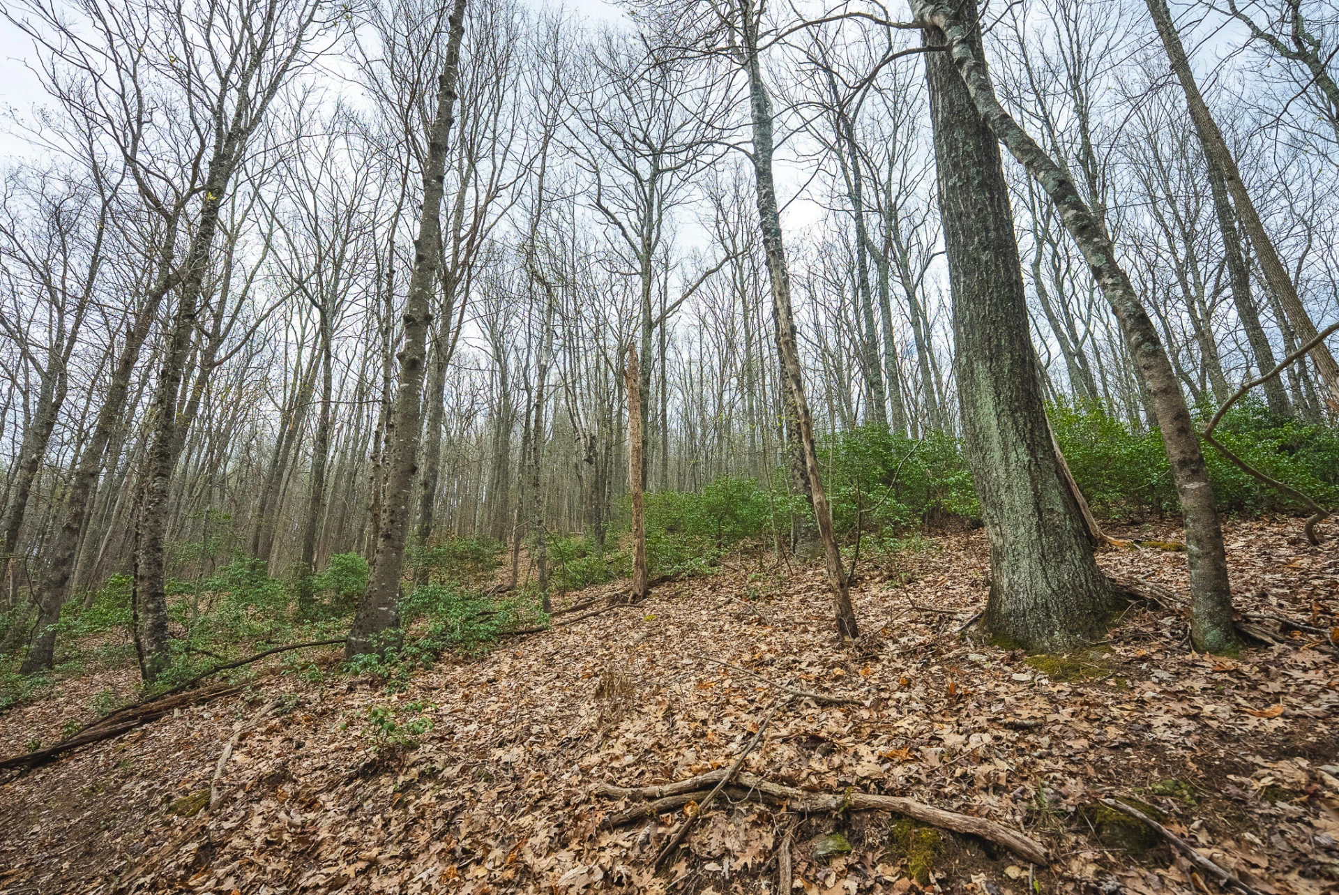 TBD Cox Store RD SW - Photo 14