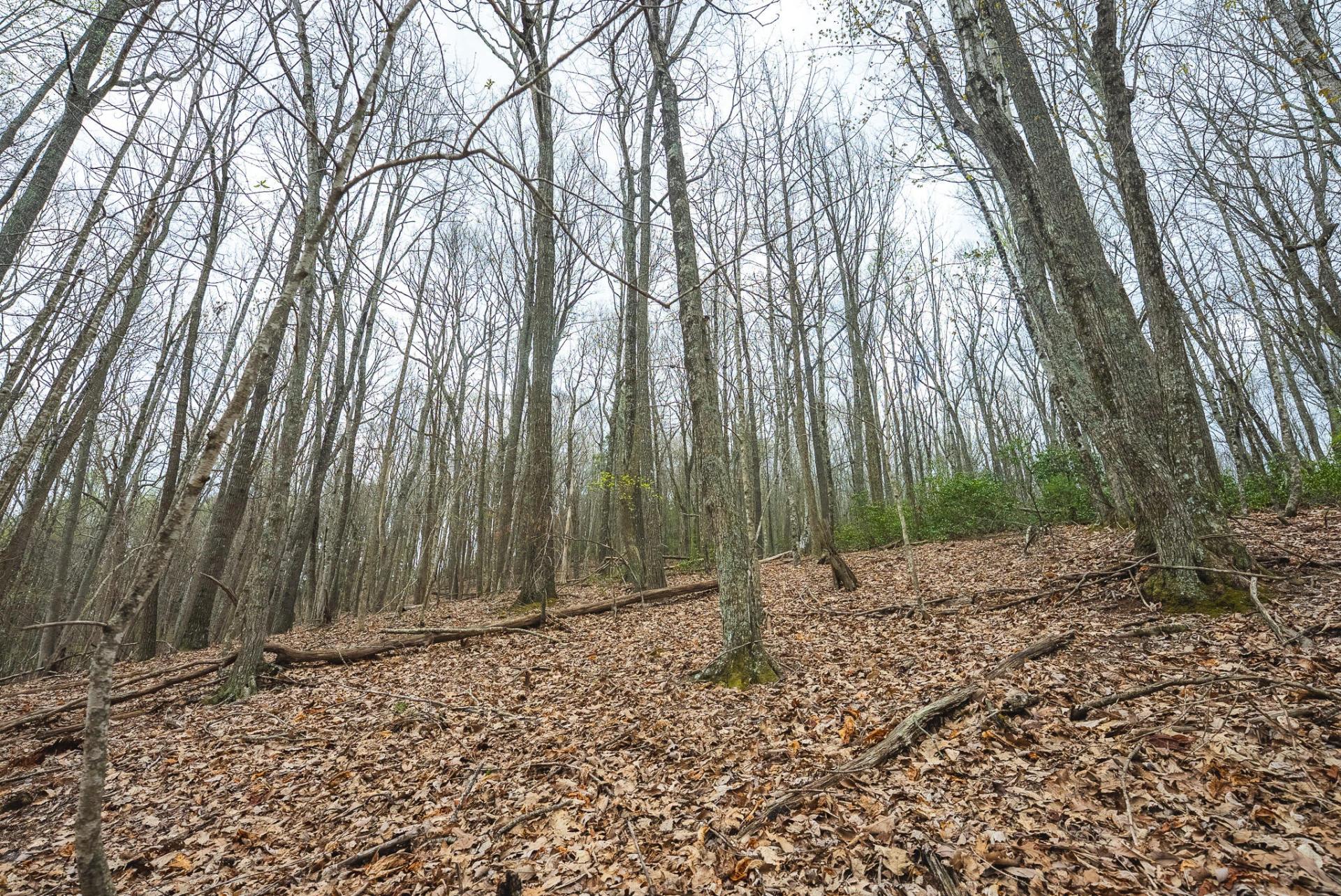 TBD Cox Store RD SW - Photo 15