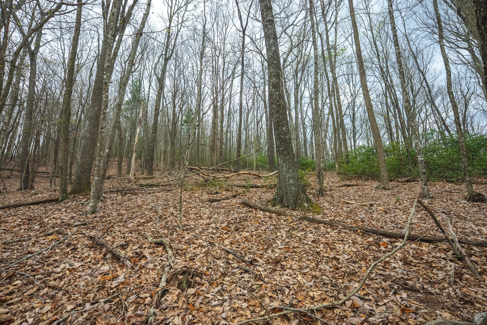TBD Cox Store RD SW - Photo 16