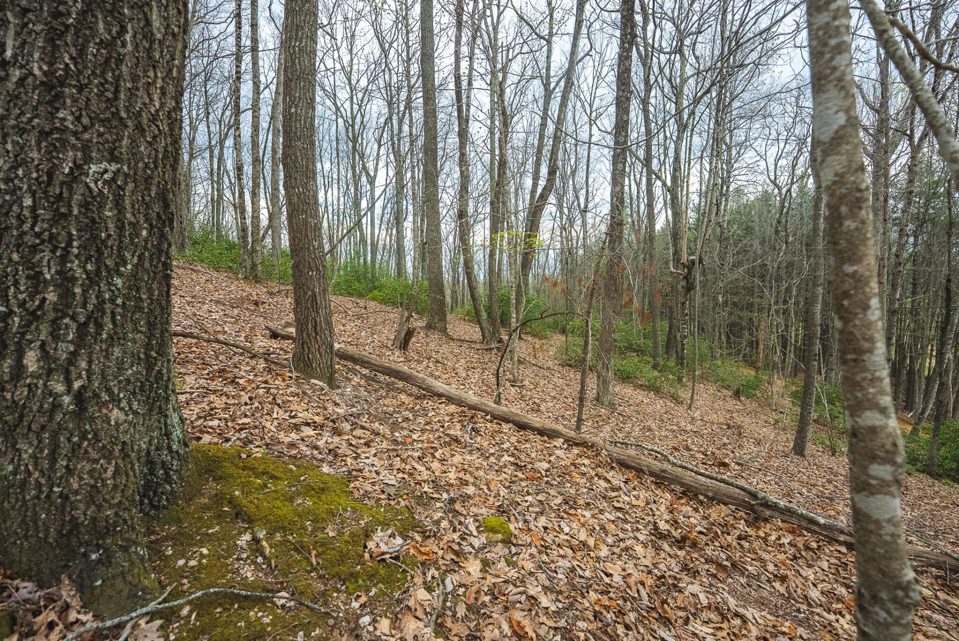 TBD Cox Store RD SW - Photo 17