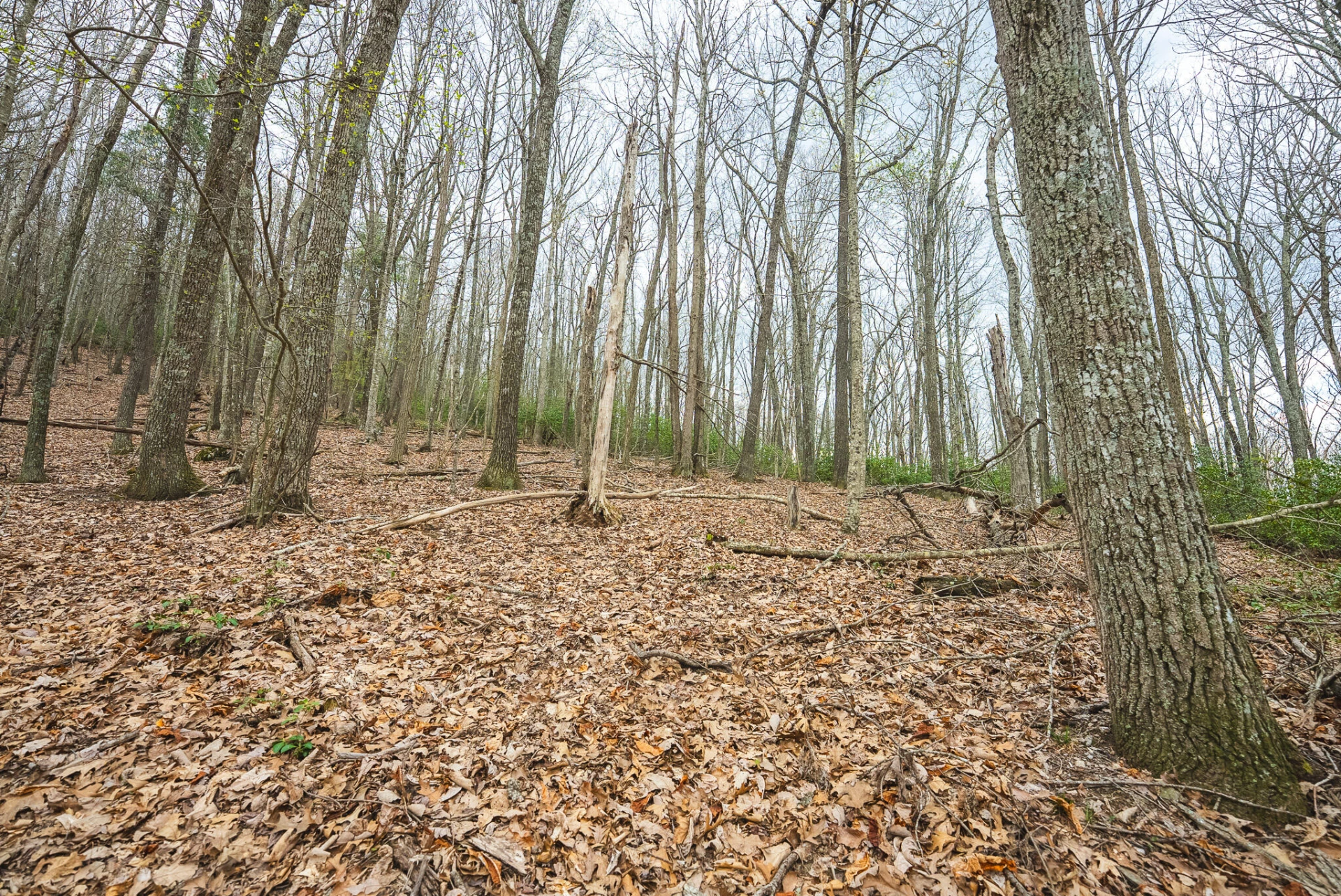 TBD Cox Store RD SW - Photo 18