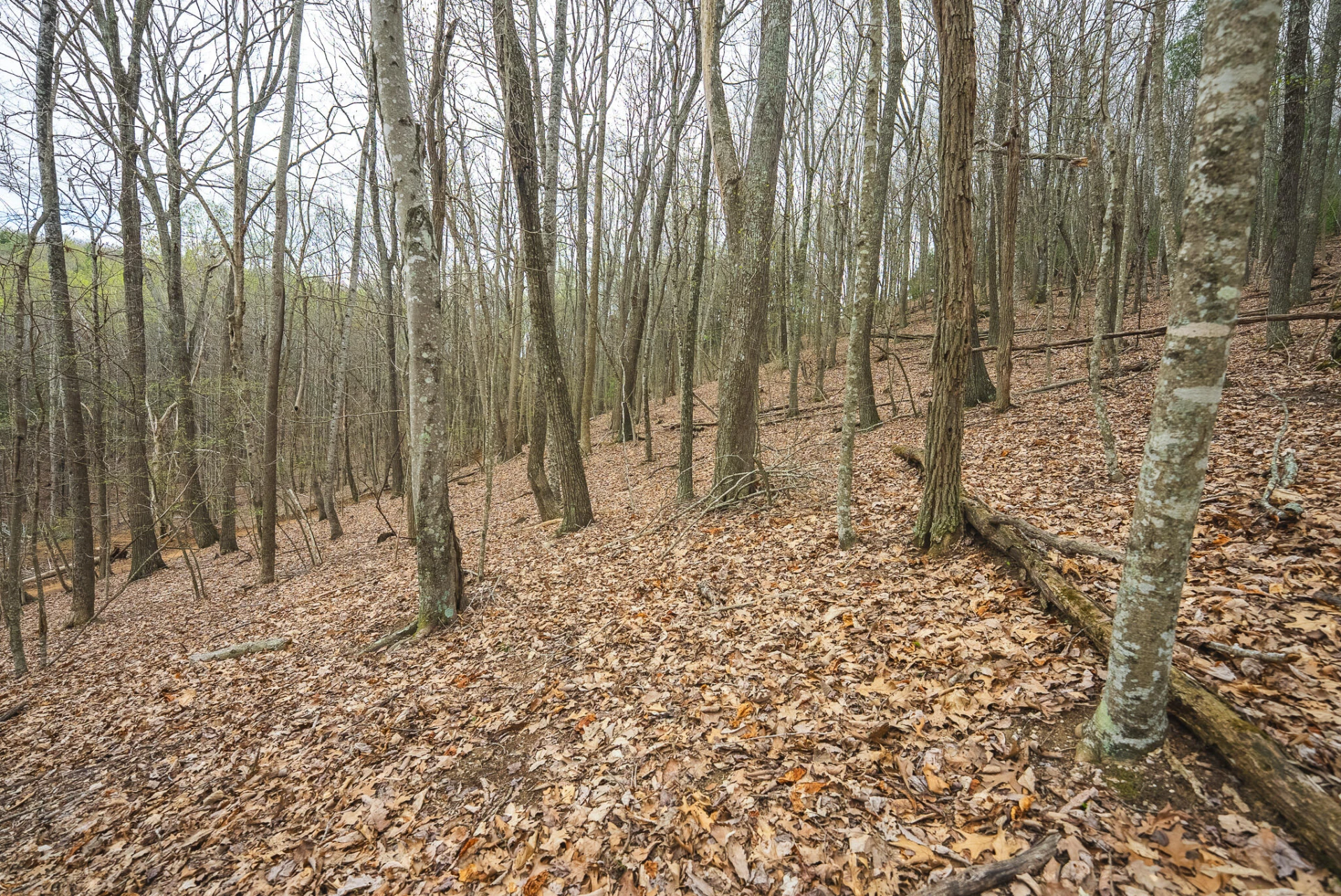 TBD Cox Store RD SW - Photo 19