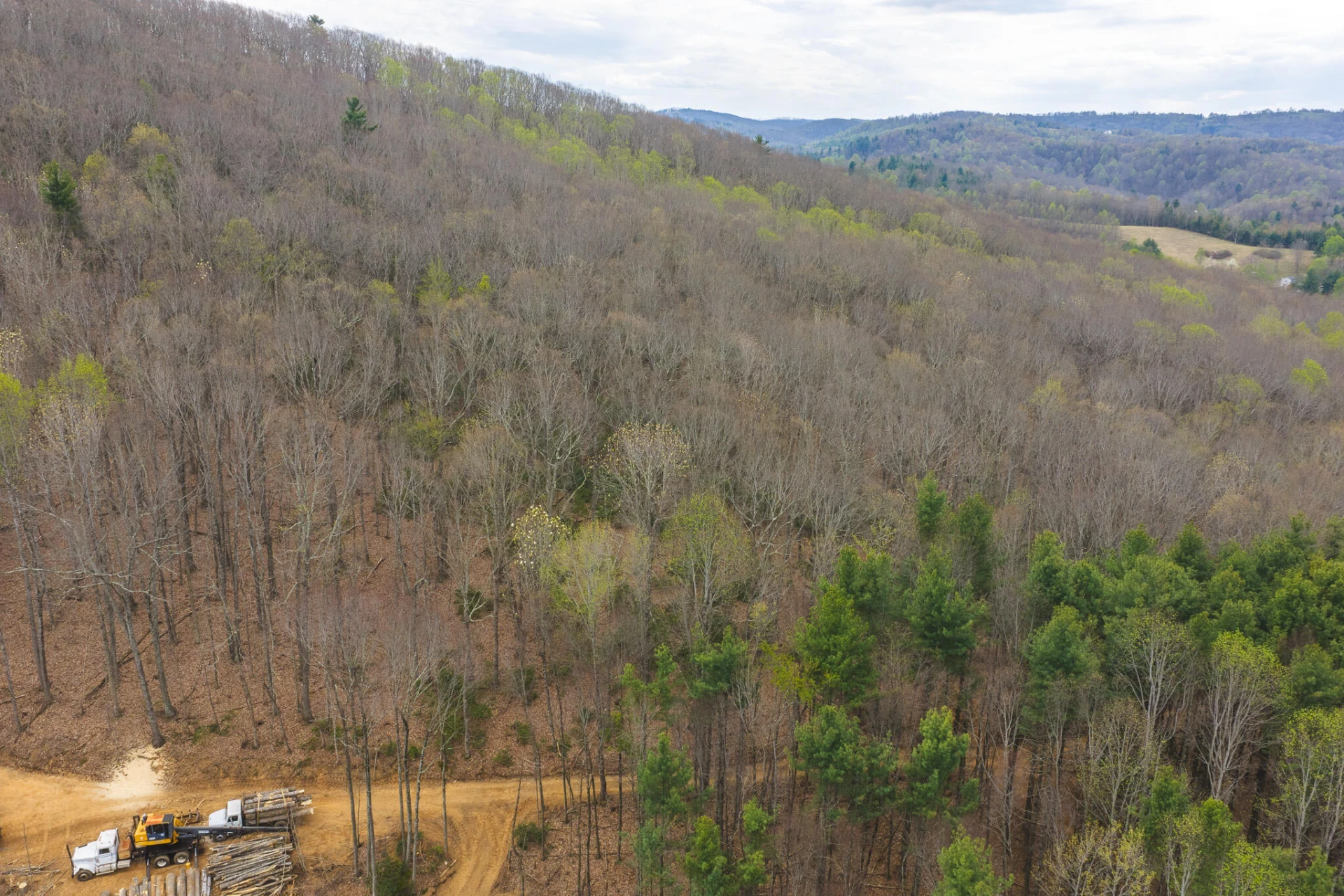 TBD Cox Store RD SW - Photo 2