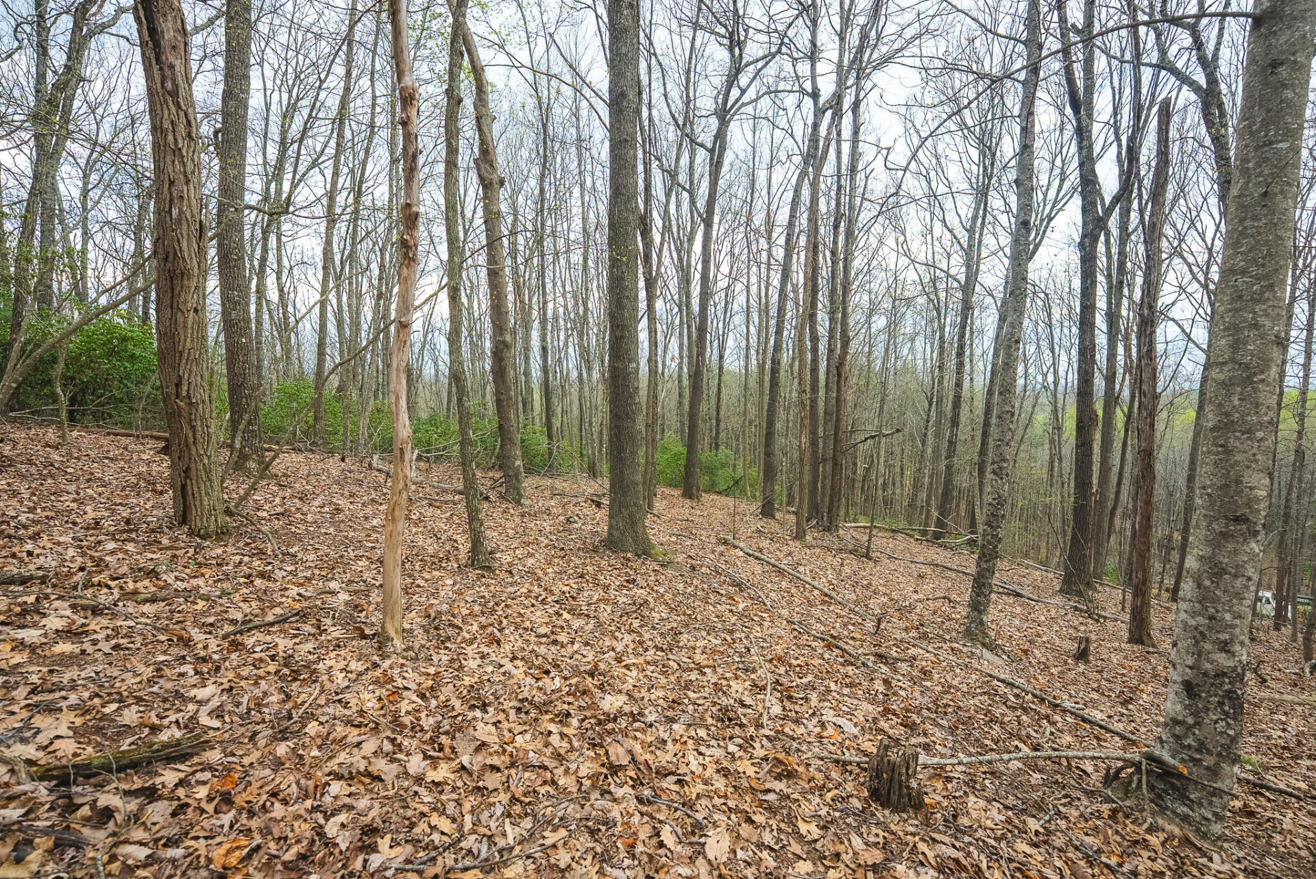 TBD Cox Store RD SW - Photo 20