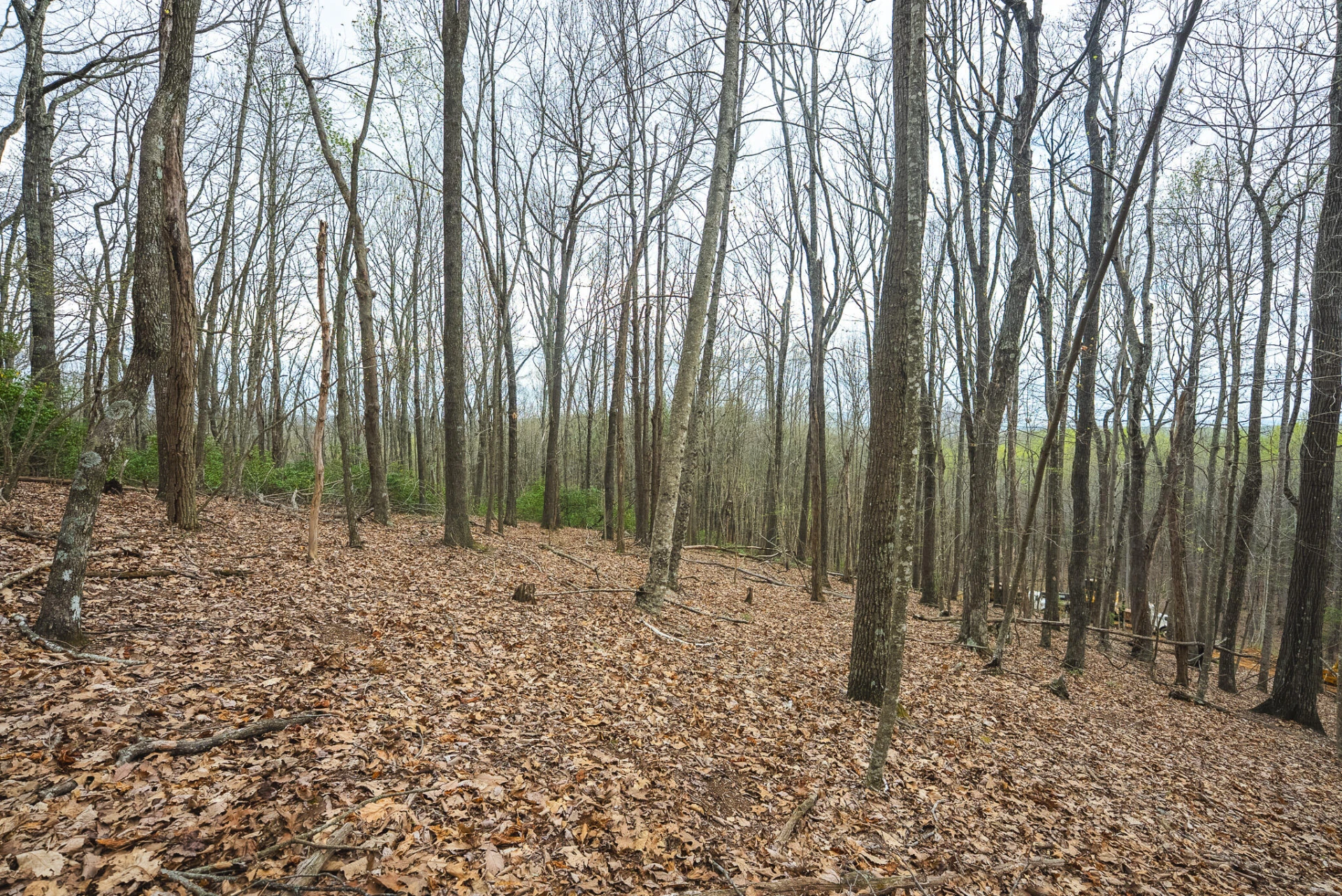 TBD Cox Store RD SW - Photo 21