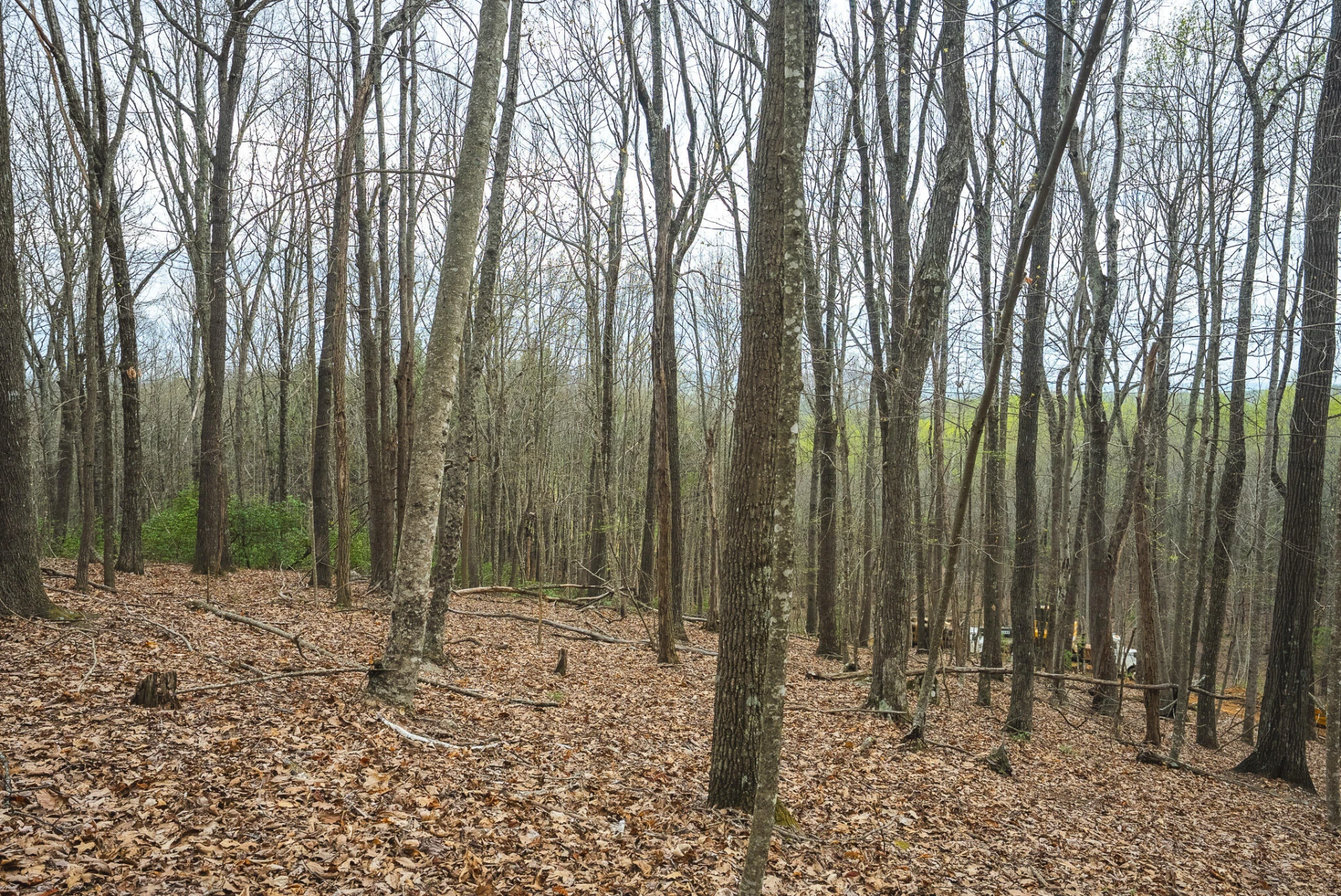 TBD Cox Store RD SW - Photo 22