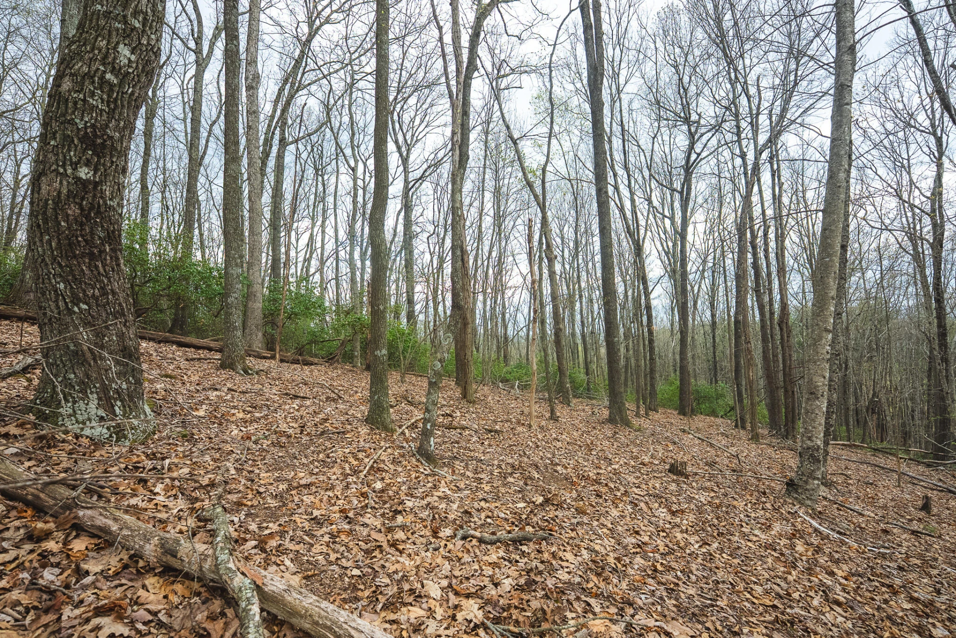 TBD Cox Store RD SW - Photo 23