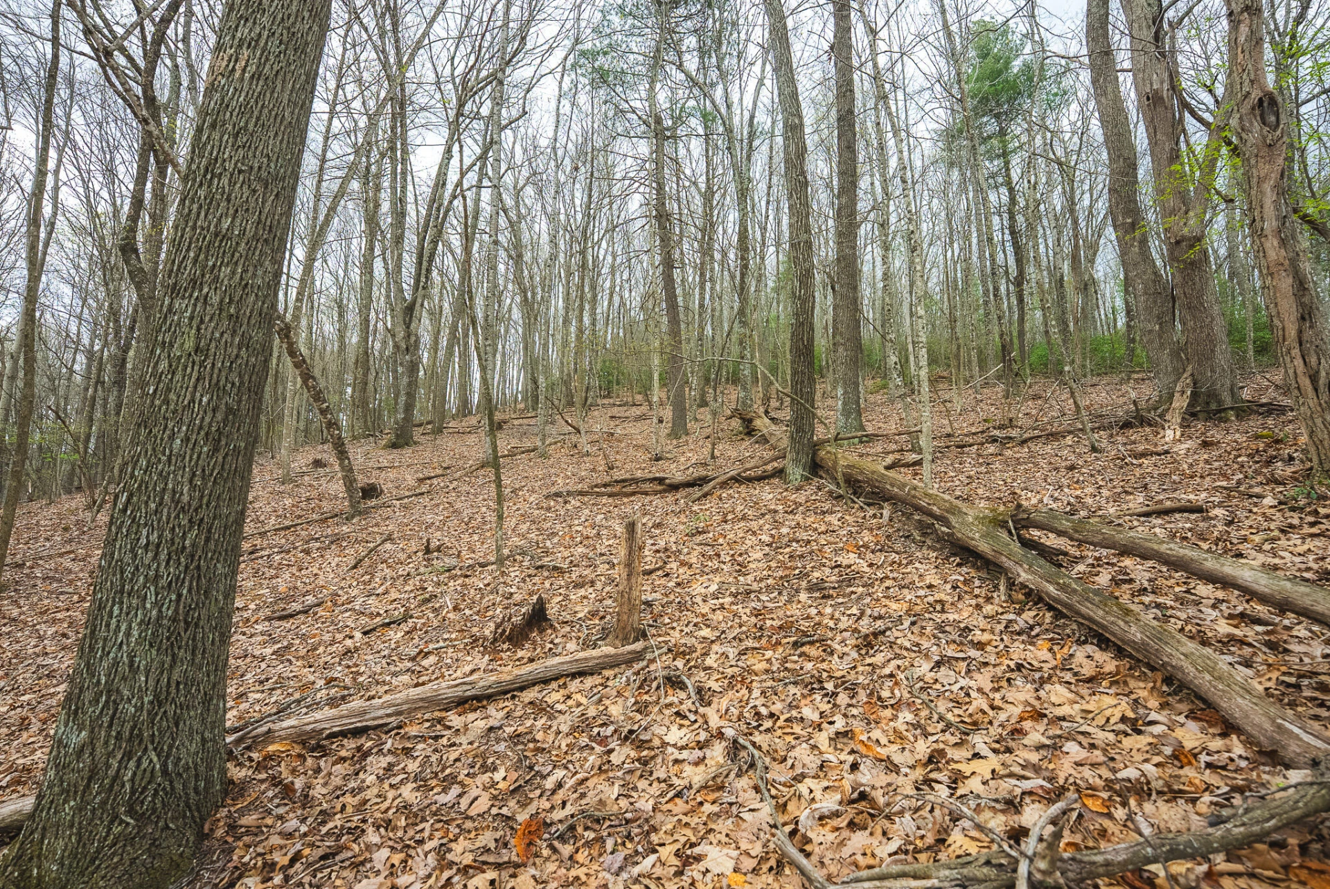 TBD Cox Store RD SW - Photo 24