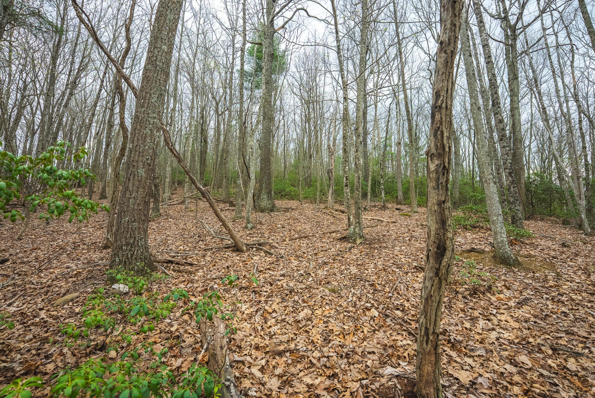 TBD Cox Store RD SW - Photo 26