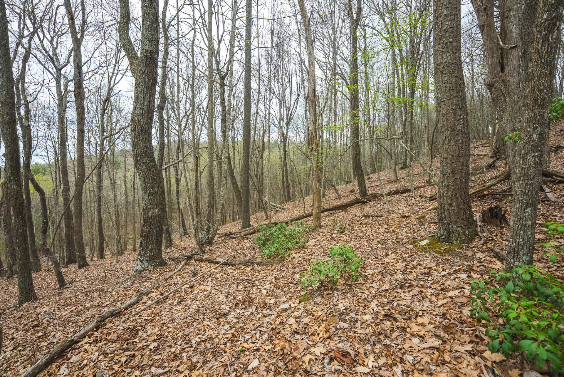 TBD Cox Store RD SW - Photo 27