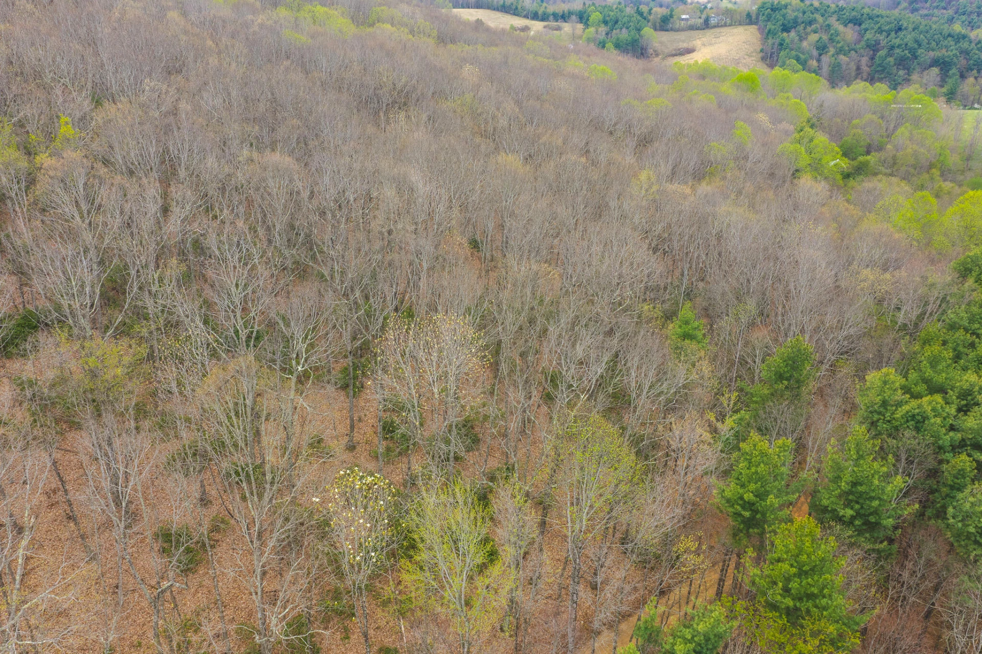 TBD Cox Store RD SW - Photo 3