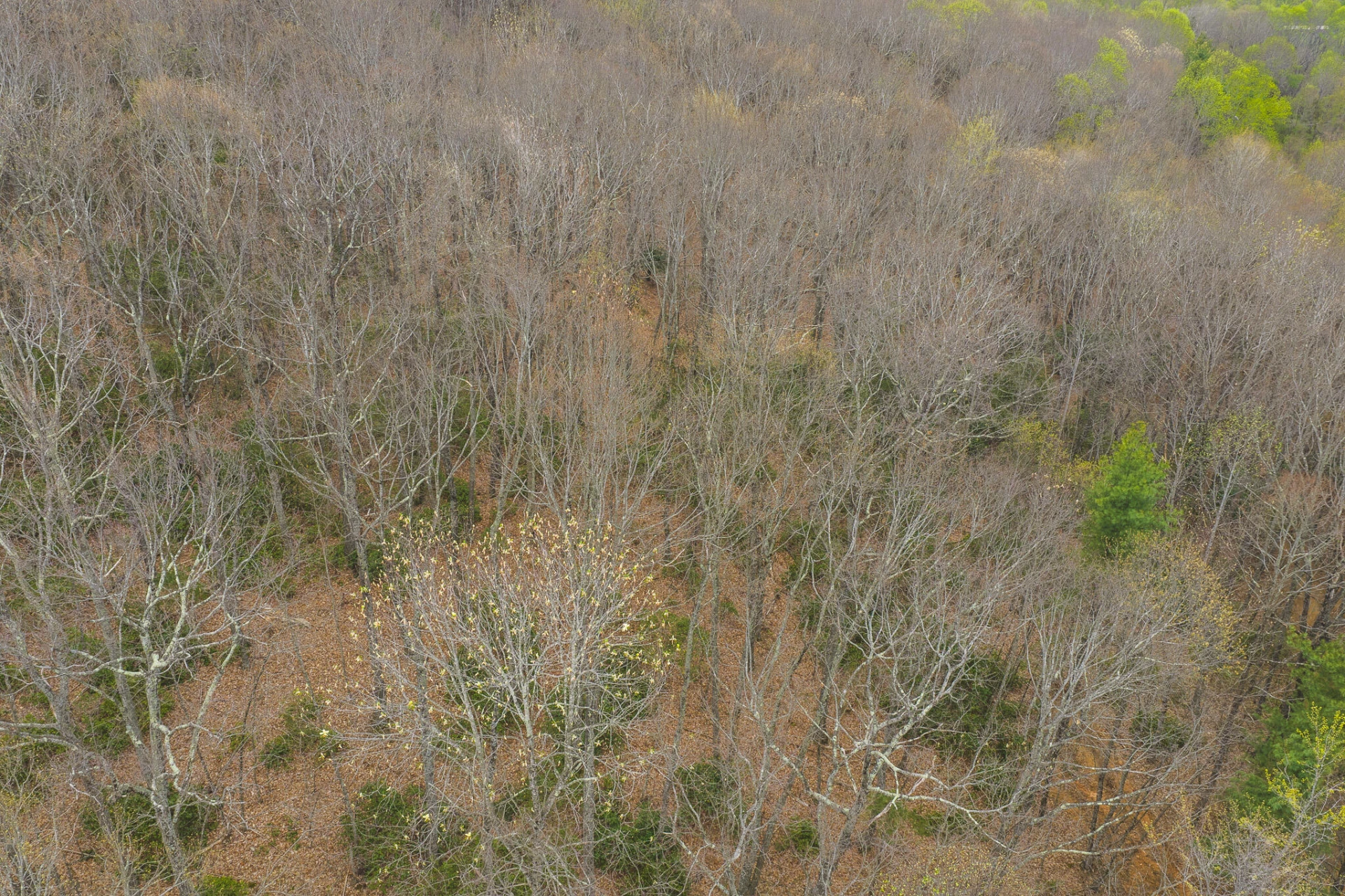 TBD Cox Store RD SW - Photo 4