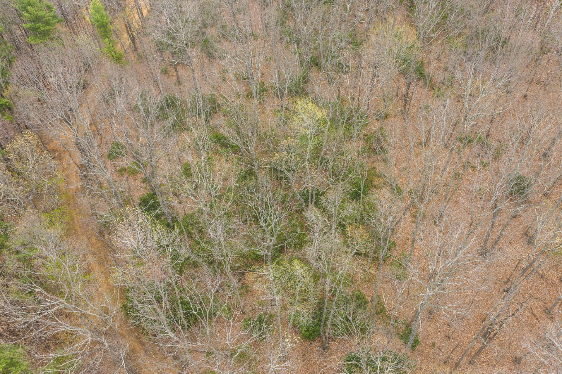 TBD Cox Store RD SW - Photo 5