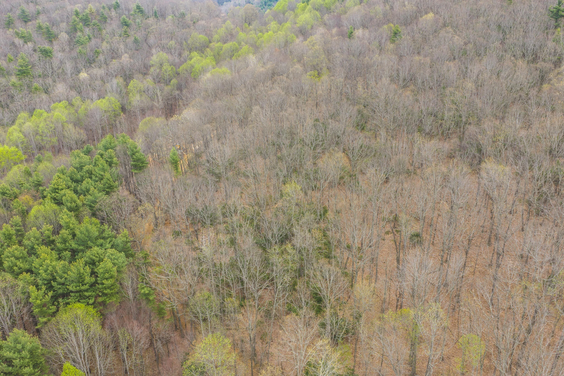 TBD Cox Store RD SW - Photo 6