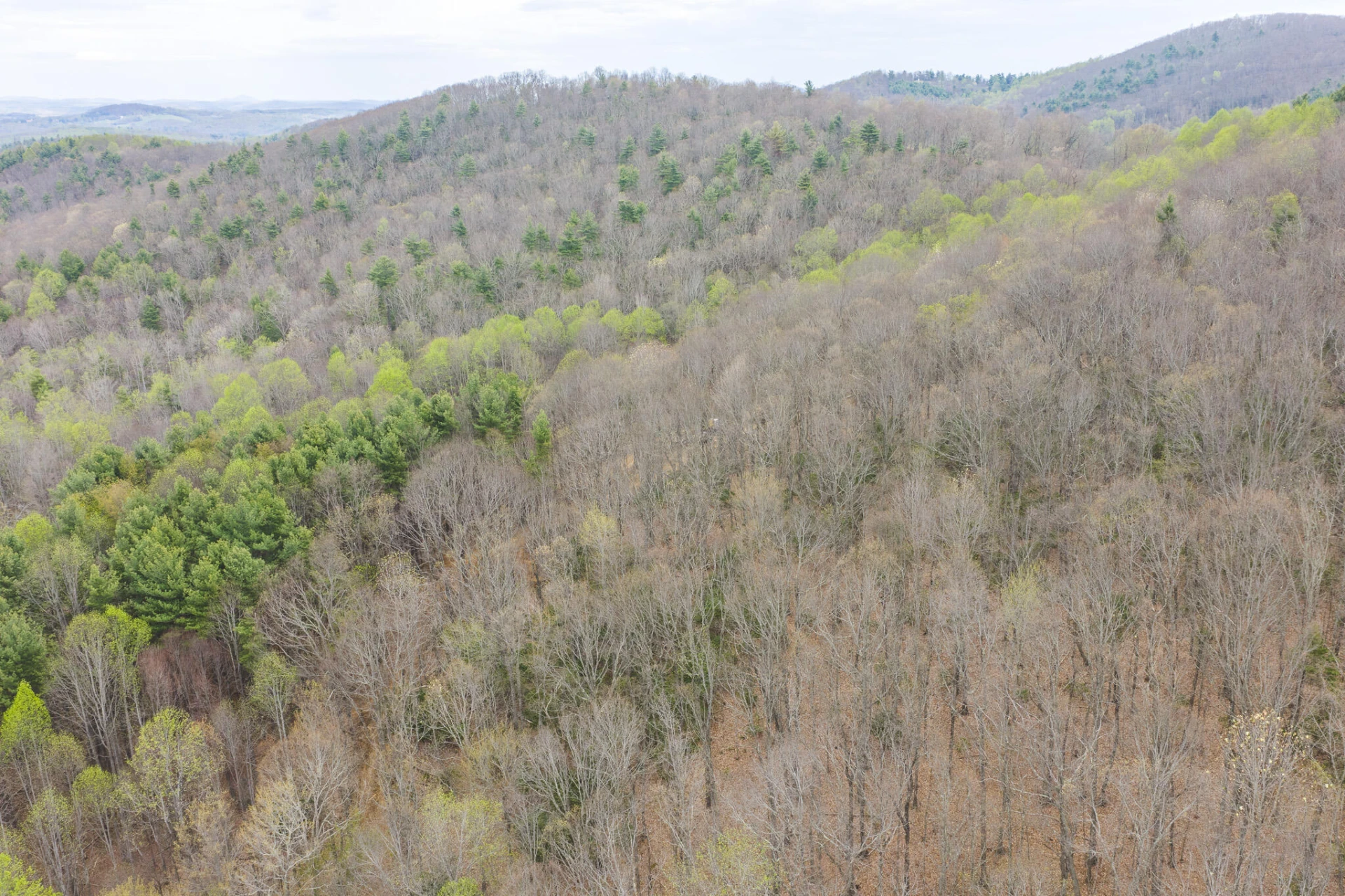 TBD Cox Store RD SW - Photo 7