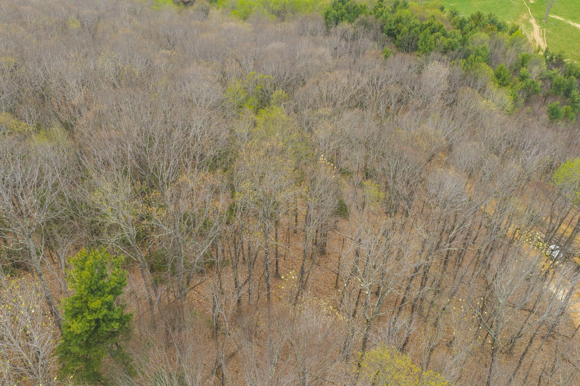 TBD Cox Store RD SW - Photo 8