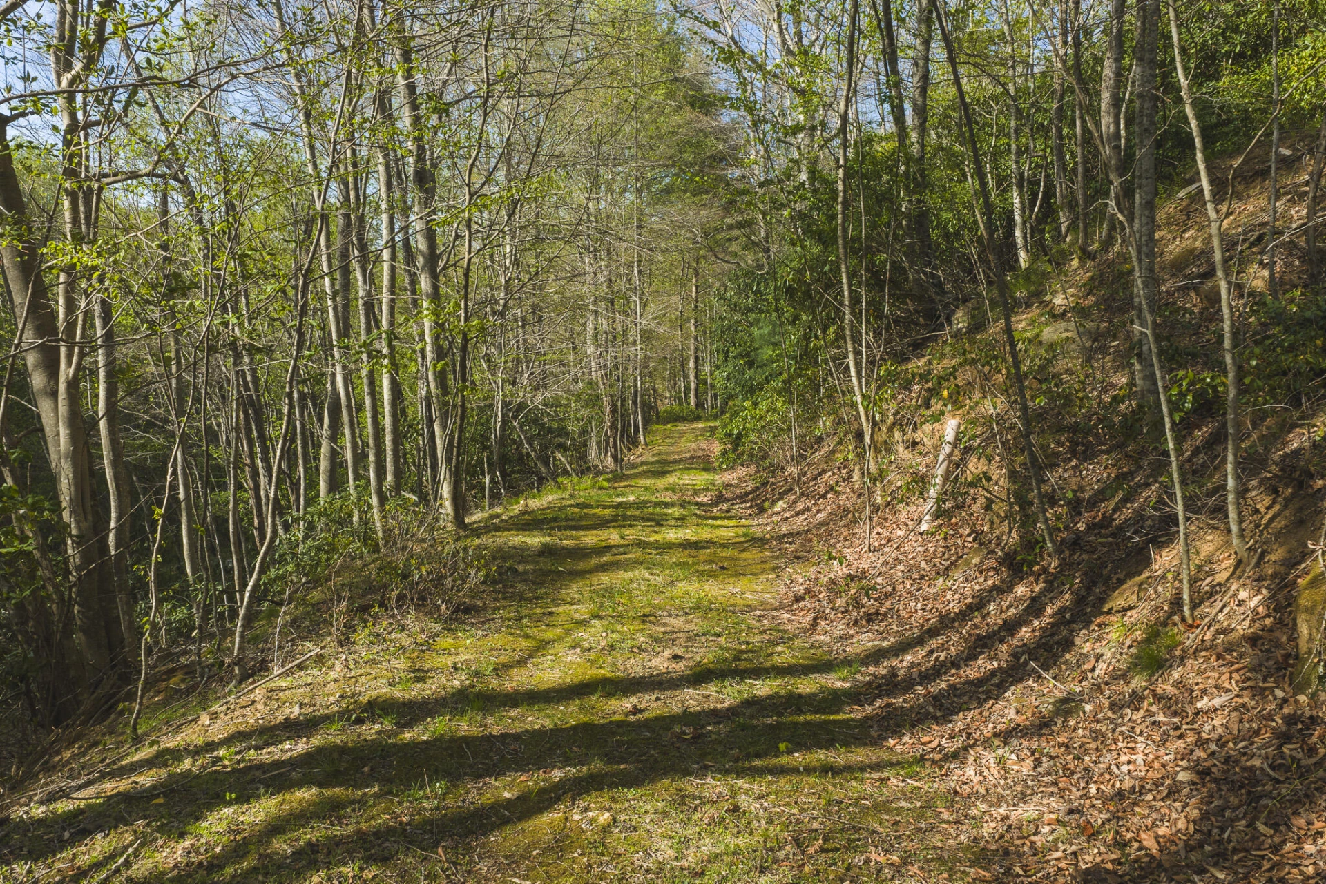 TBD Black Ridge RD SW