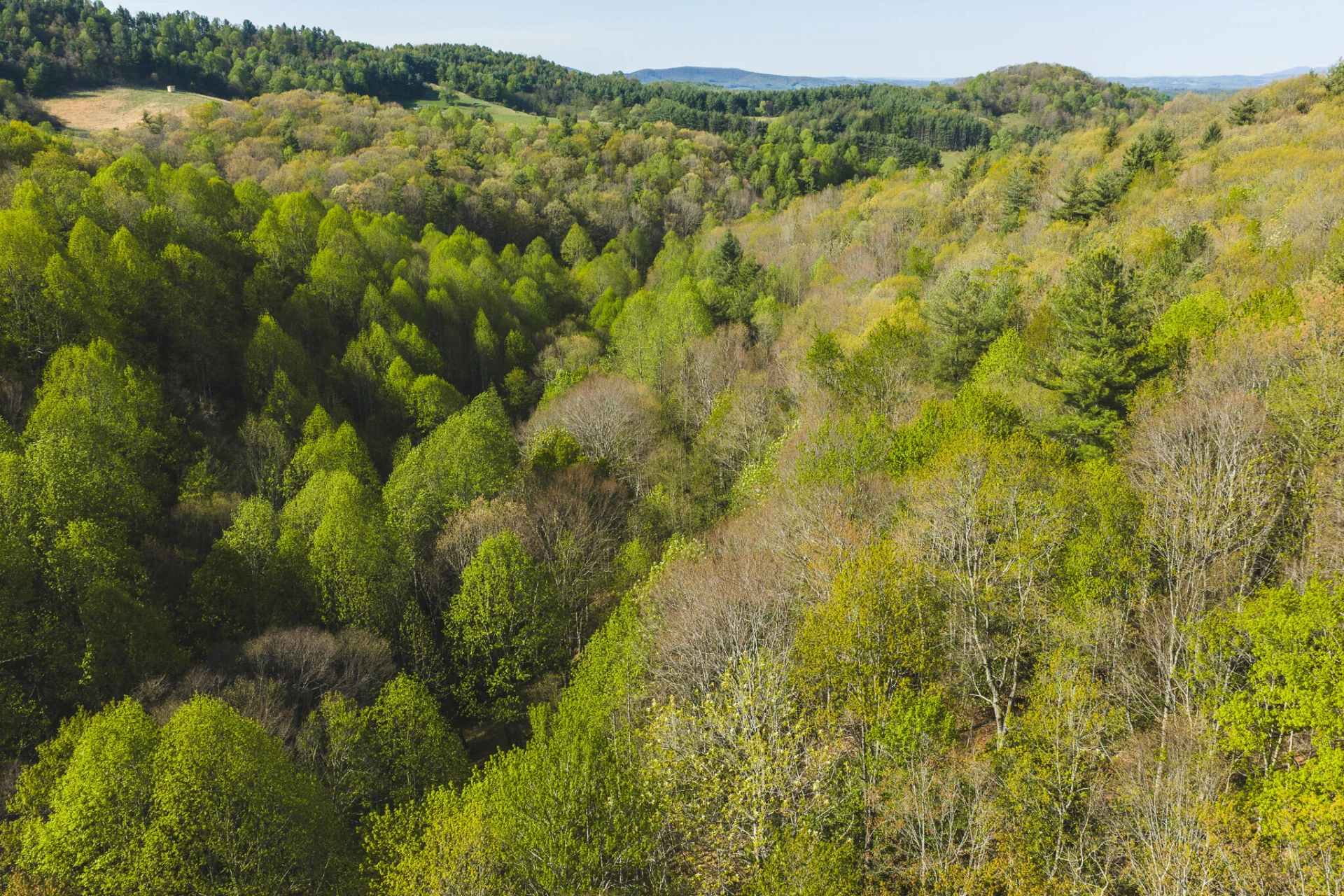 TBD Black Ridge RD SW - Photo 10