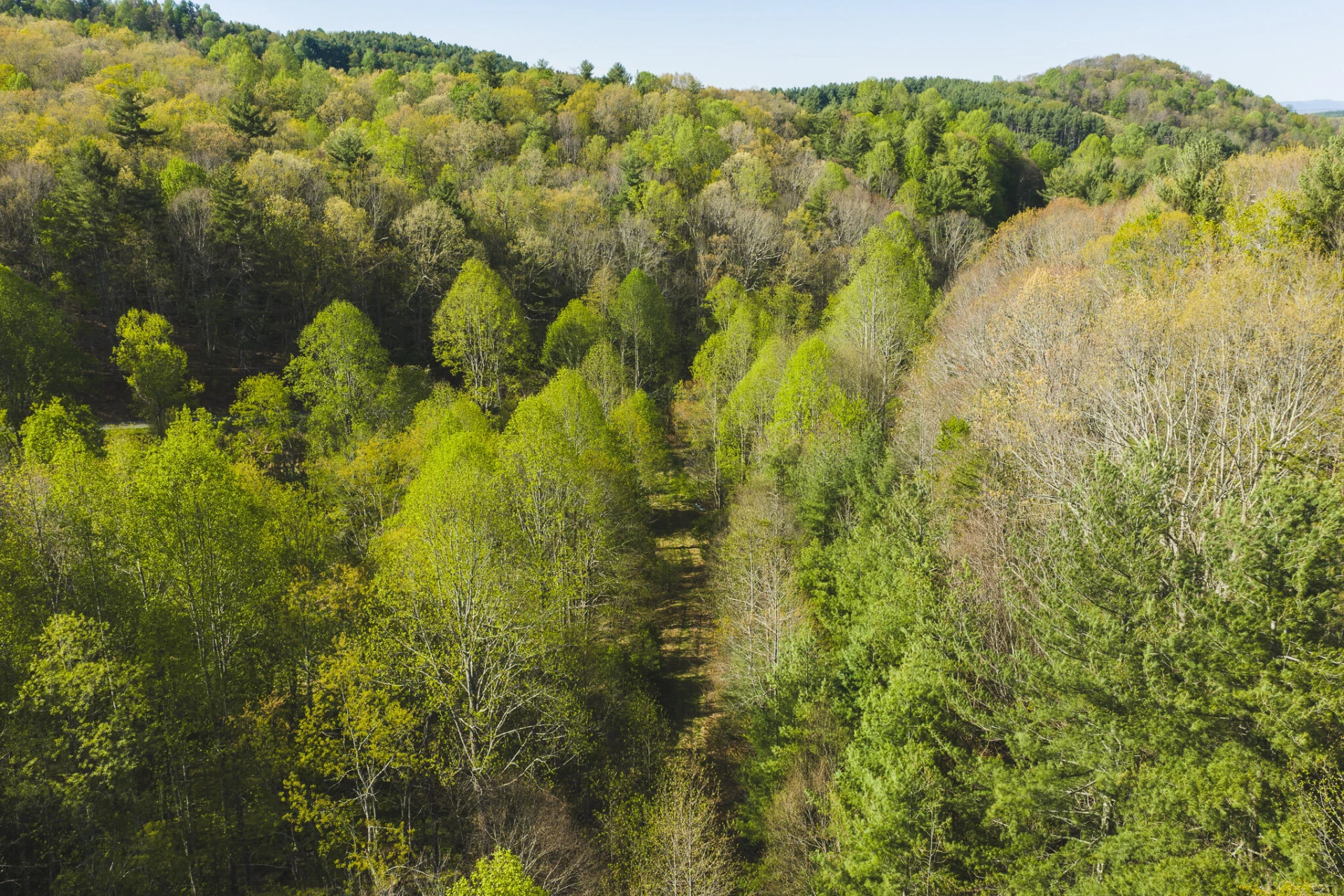 TBD Black Ridge RD SW - Photo 11