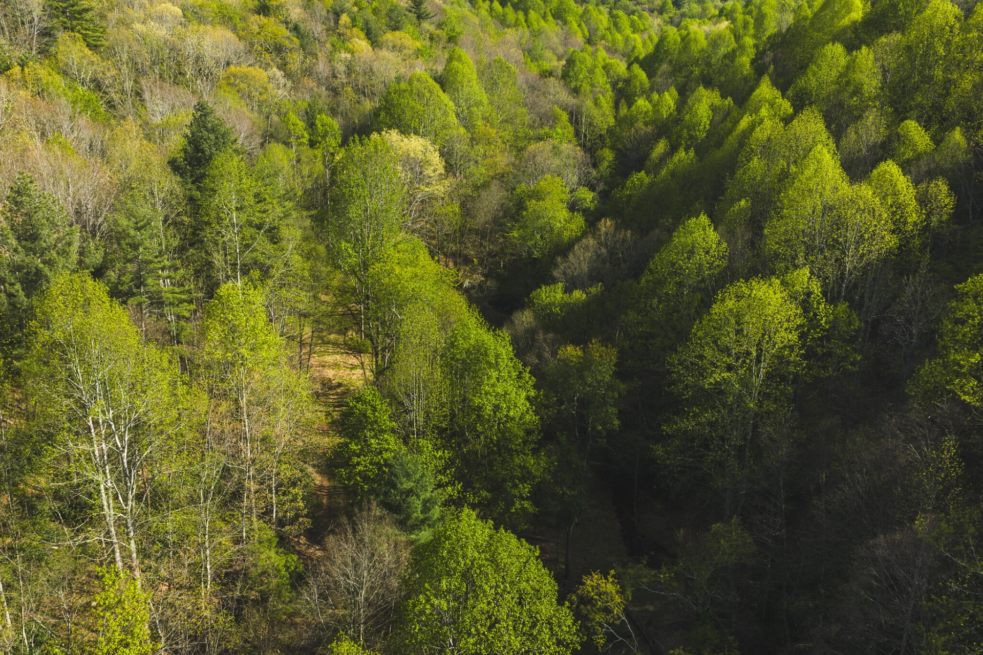 TBD Black Ridge RD SW - Photo 12