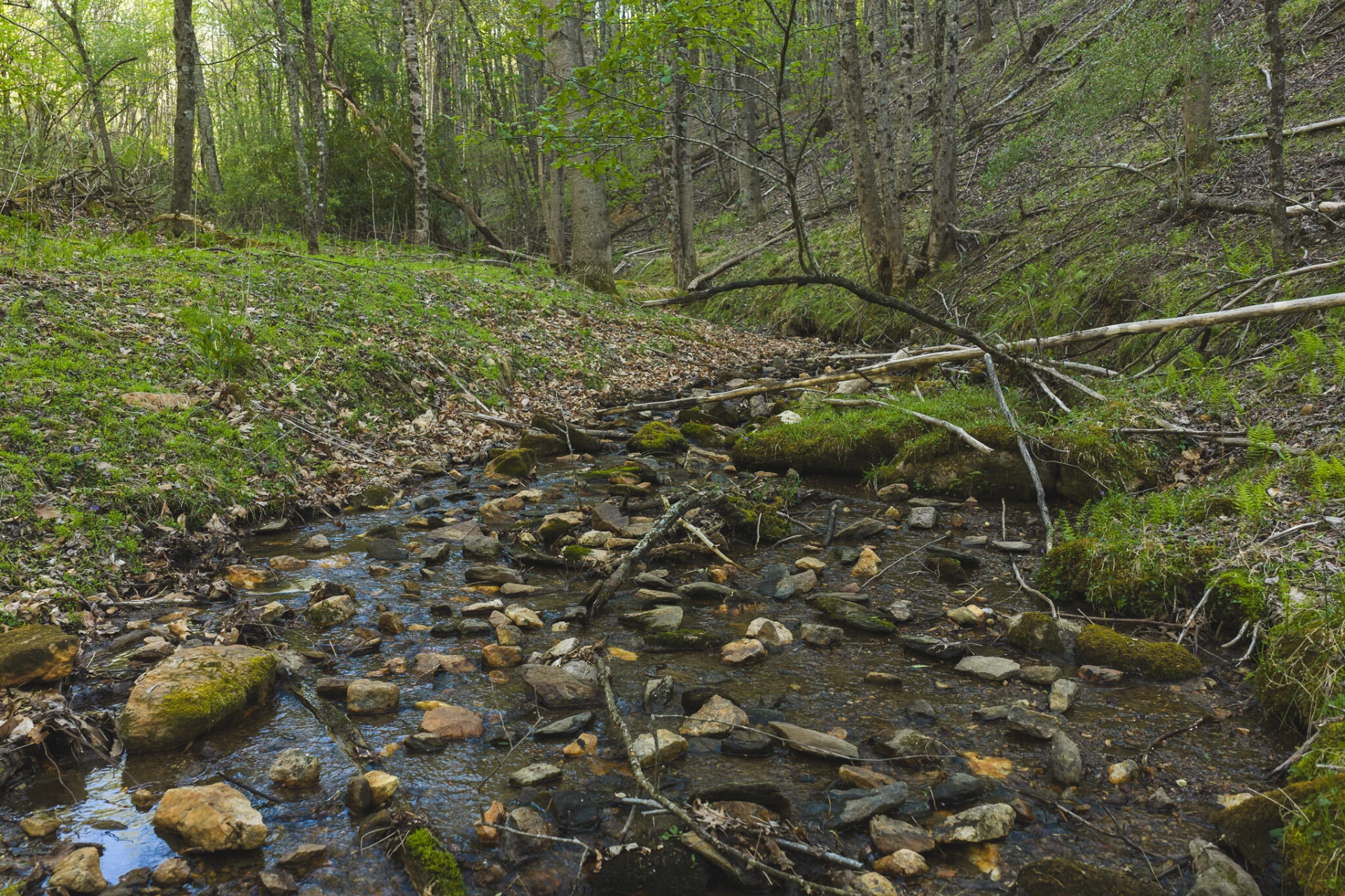 TBD Black Ridge RD SW - Photo 14