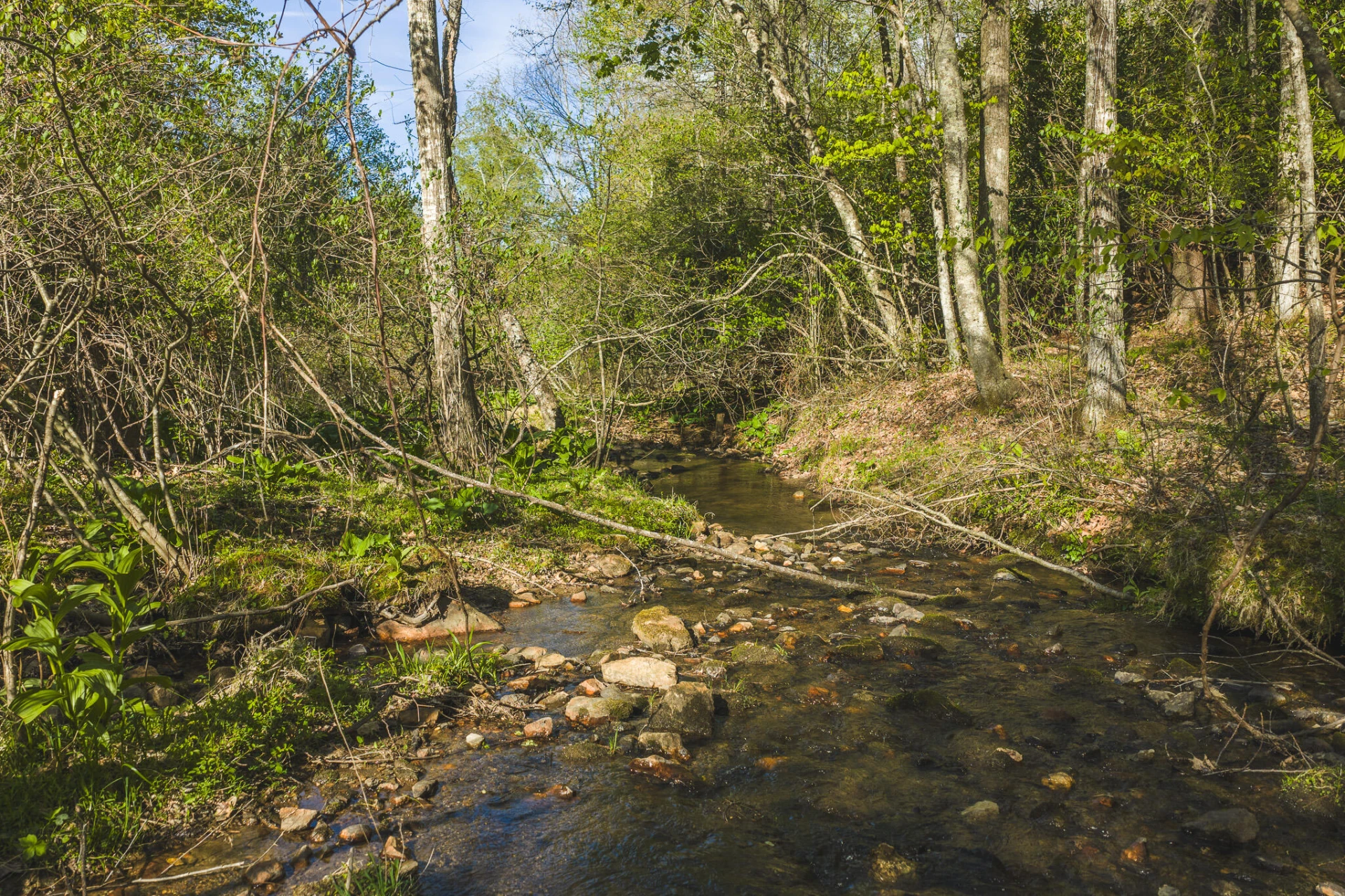 TBD Black Ridge RD SW - Photo 16
