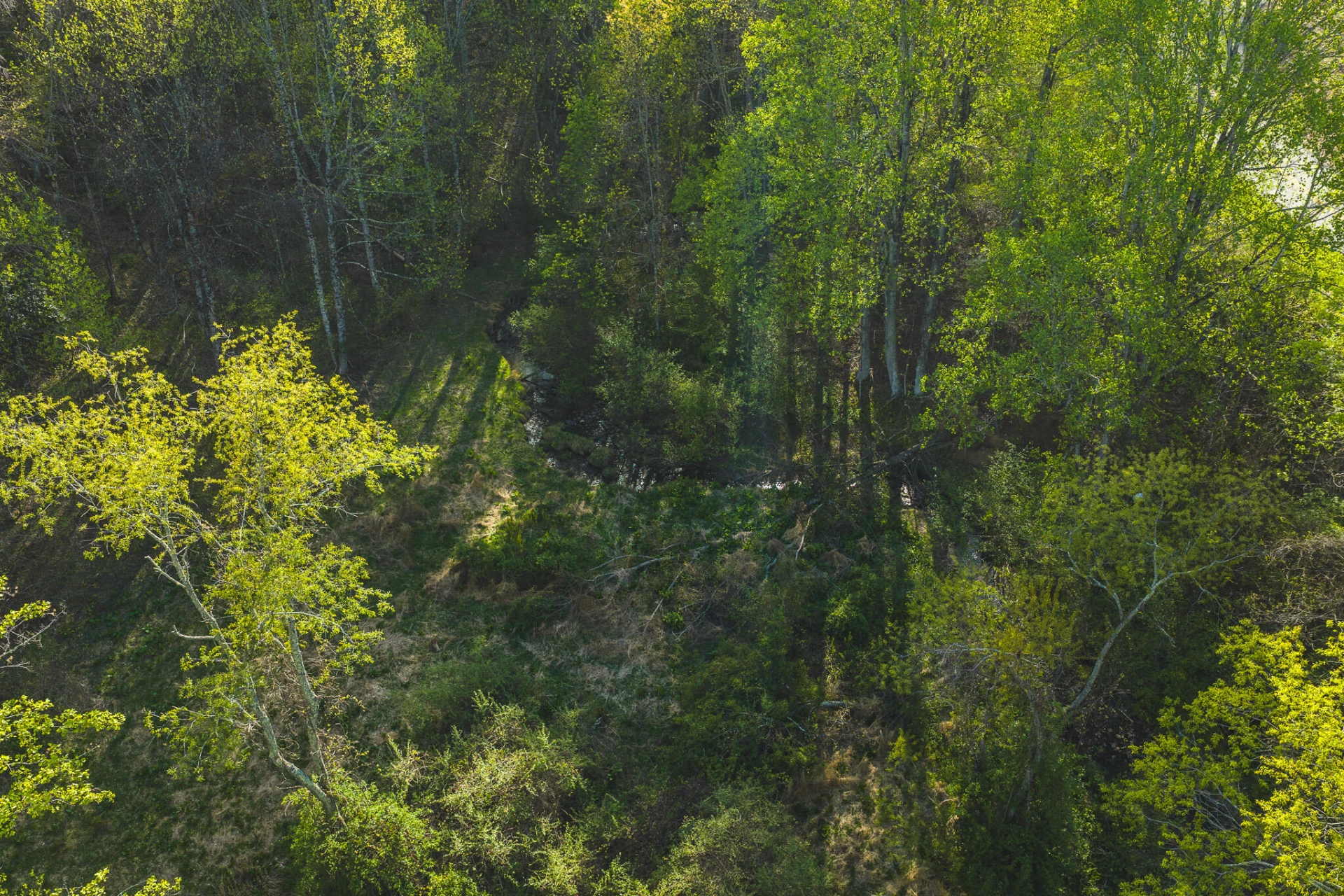 TBD Black Ridge RD SW - Photo 18