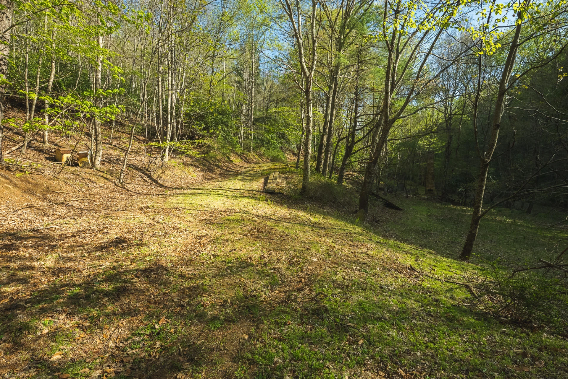 TBD Black Ridge RD SW - Photo 19