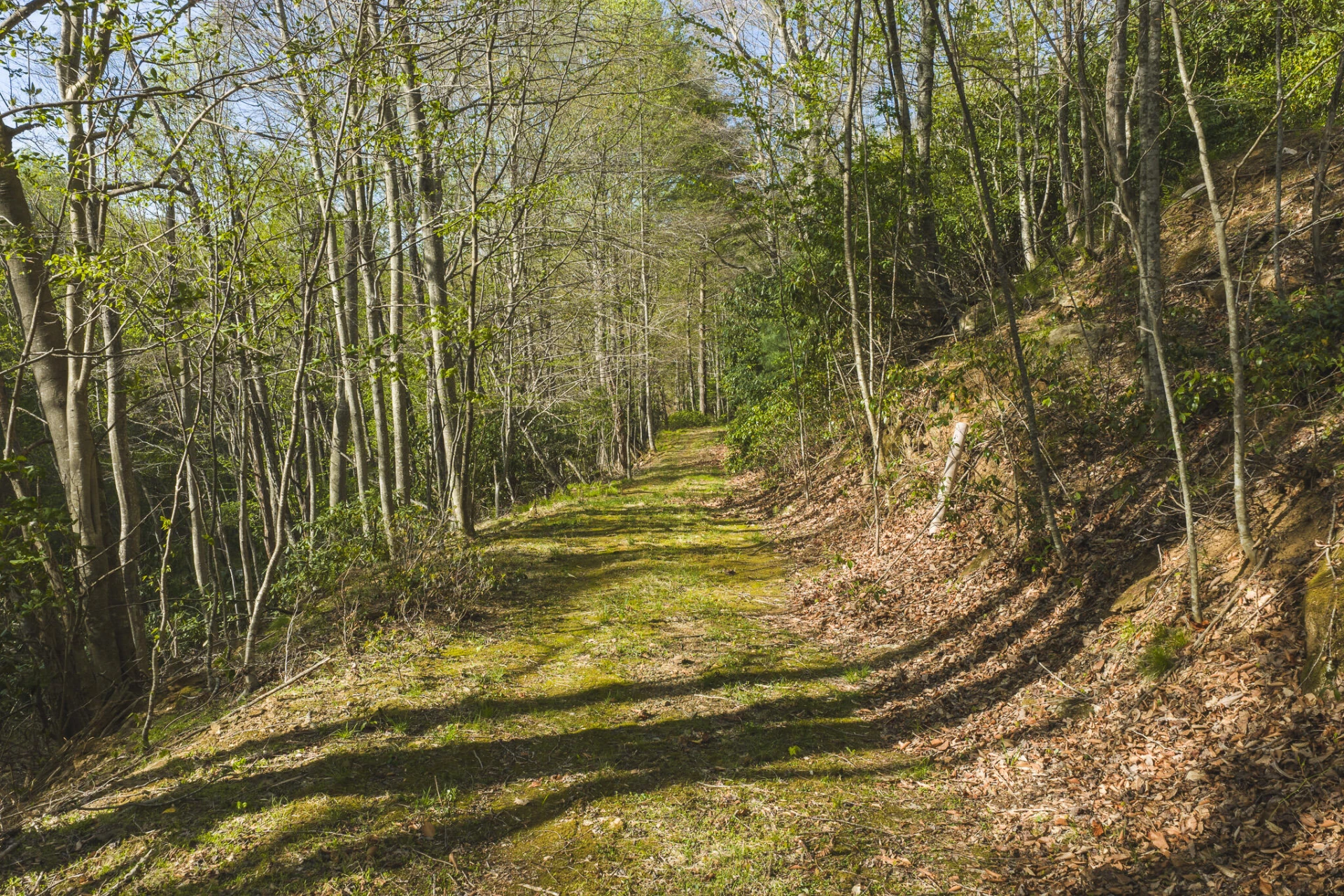 TBD Black Ridge RD SW - Photo 2