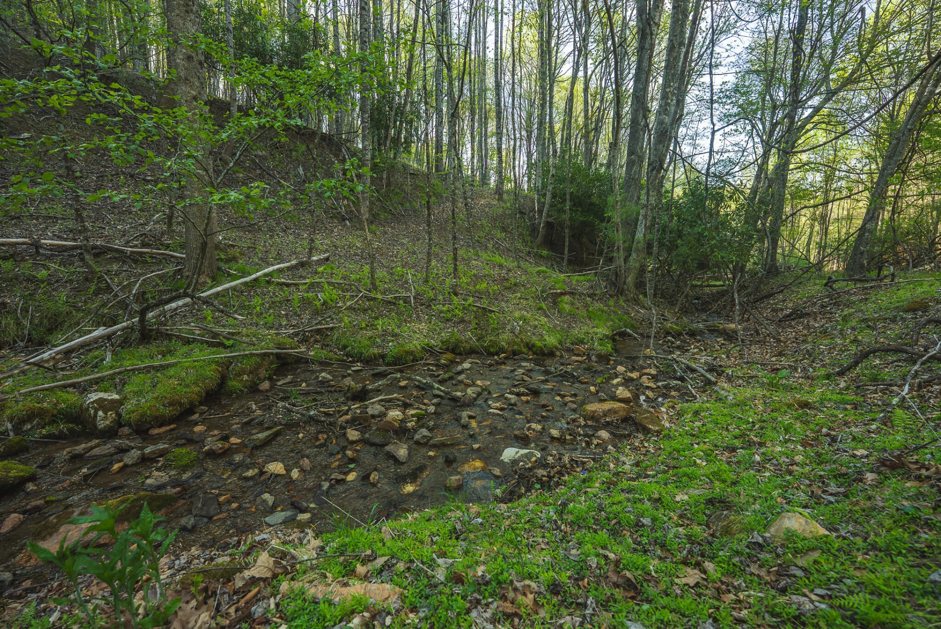 TBD Black Ridge RD SW - Photo 20