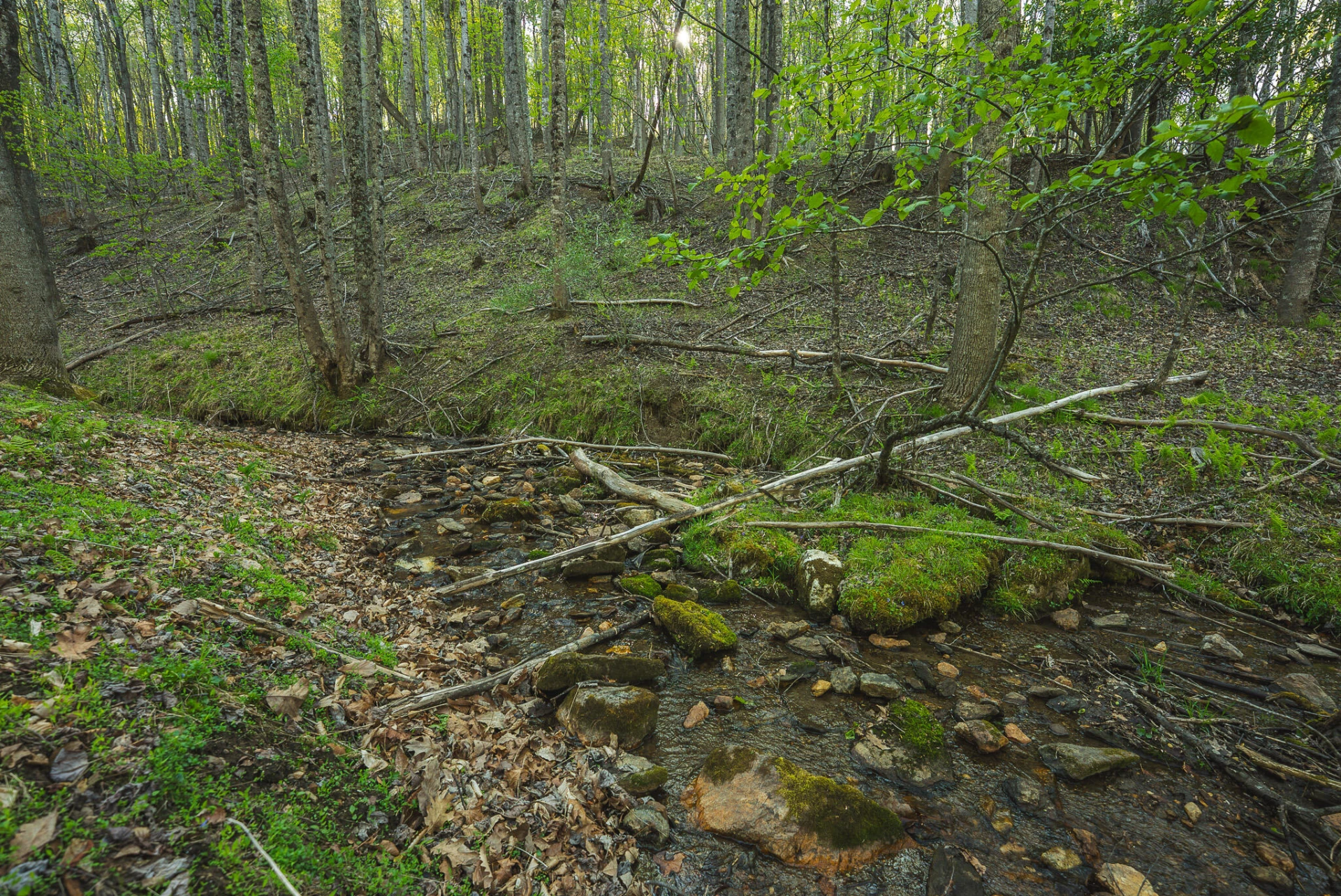 TBD Black Ridge RD SW - Photo 21