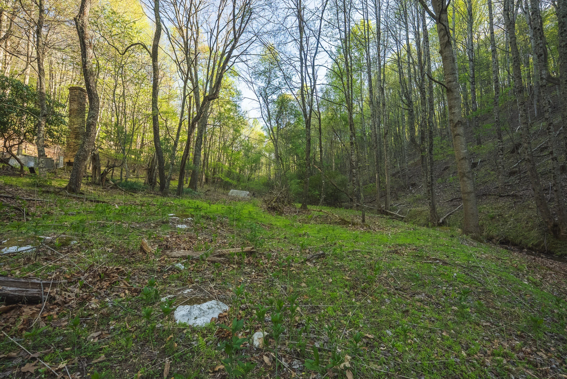 TBD Black Ridge RD SW - Photo 22