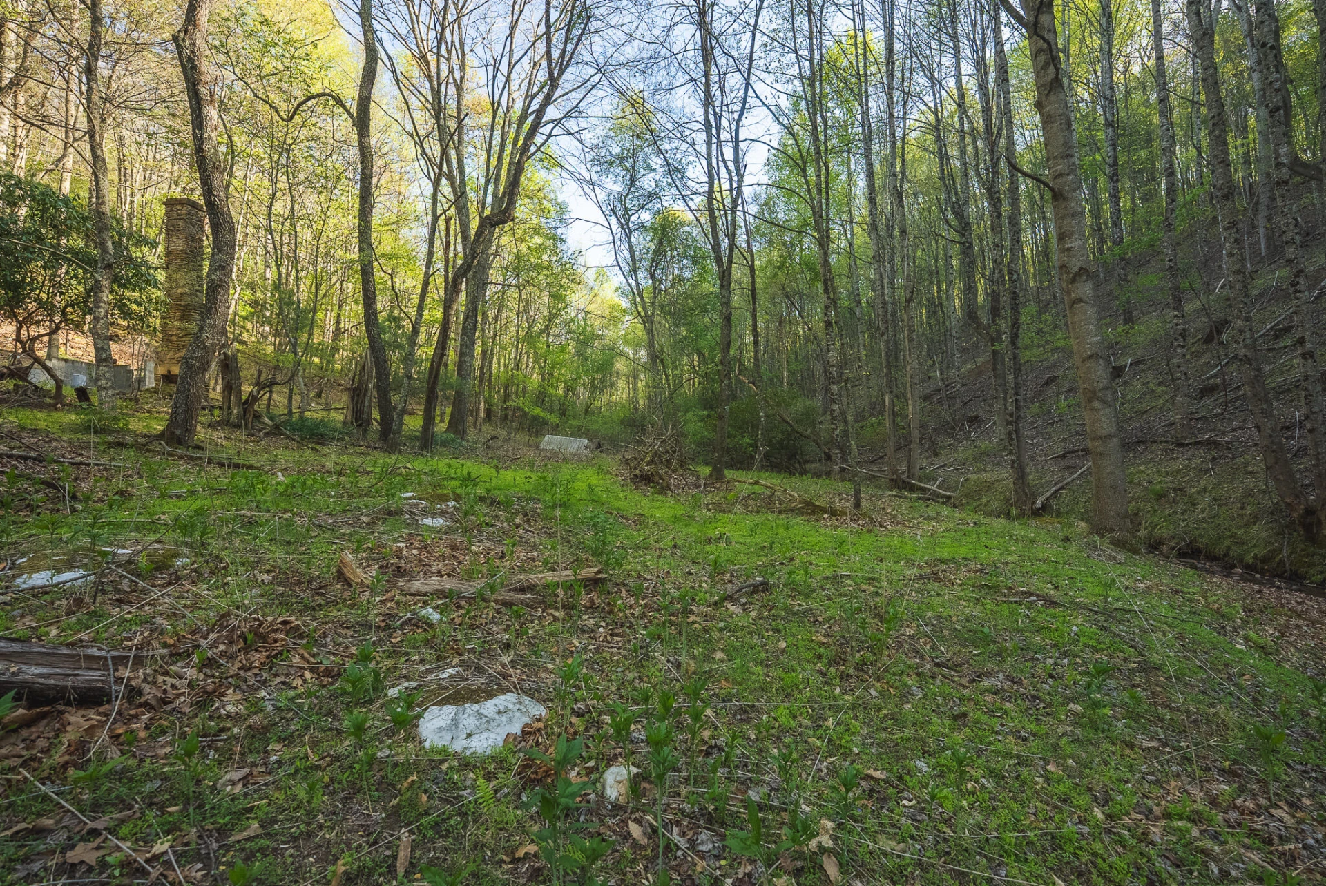 TBD Black Ridge RD SW - Photo 23