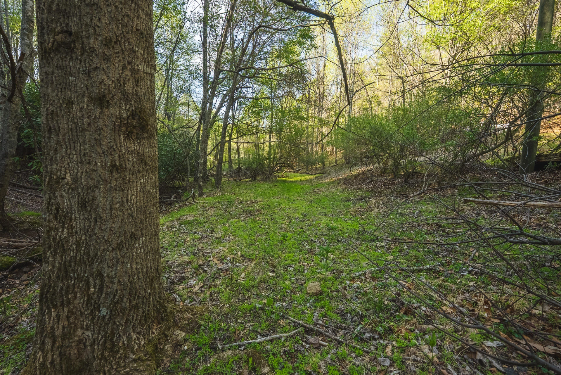 TBD Black Ridge RD SW - Photo 24