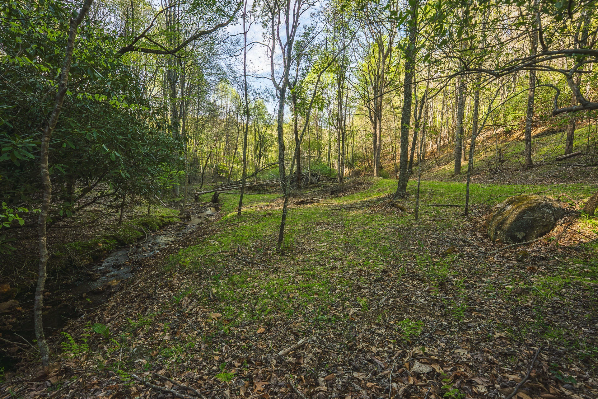 TBD Black Ridge RD SW - Photo 25