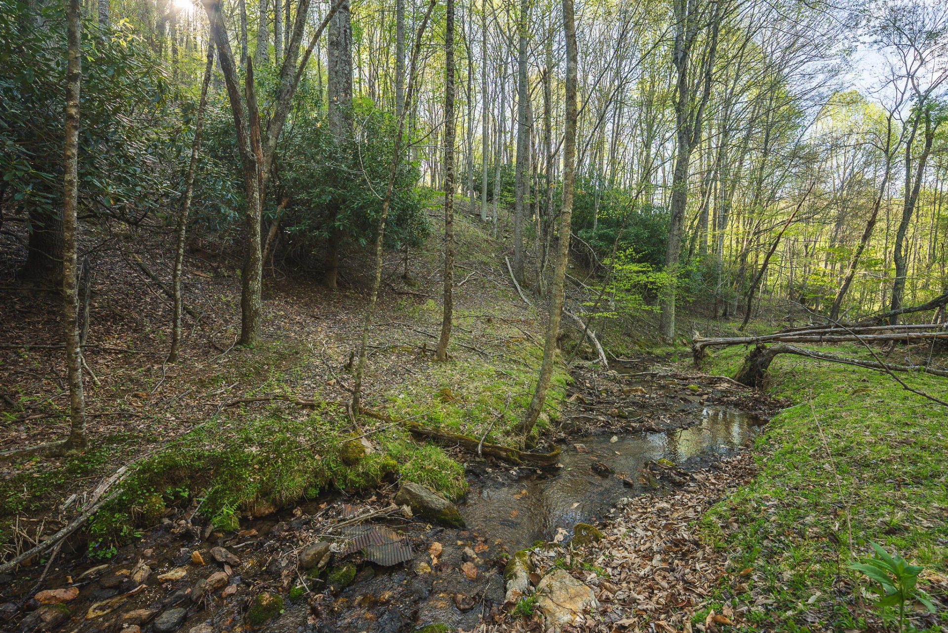 TBD Black Ridge RD SW - Photo 26