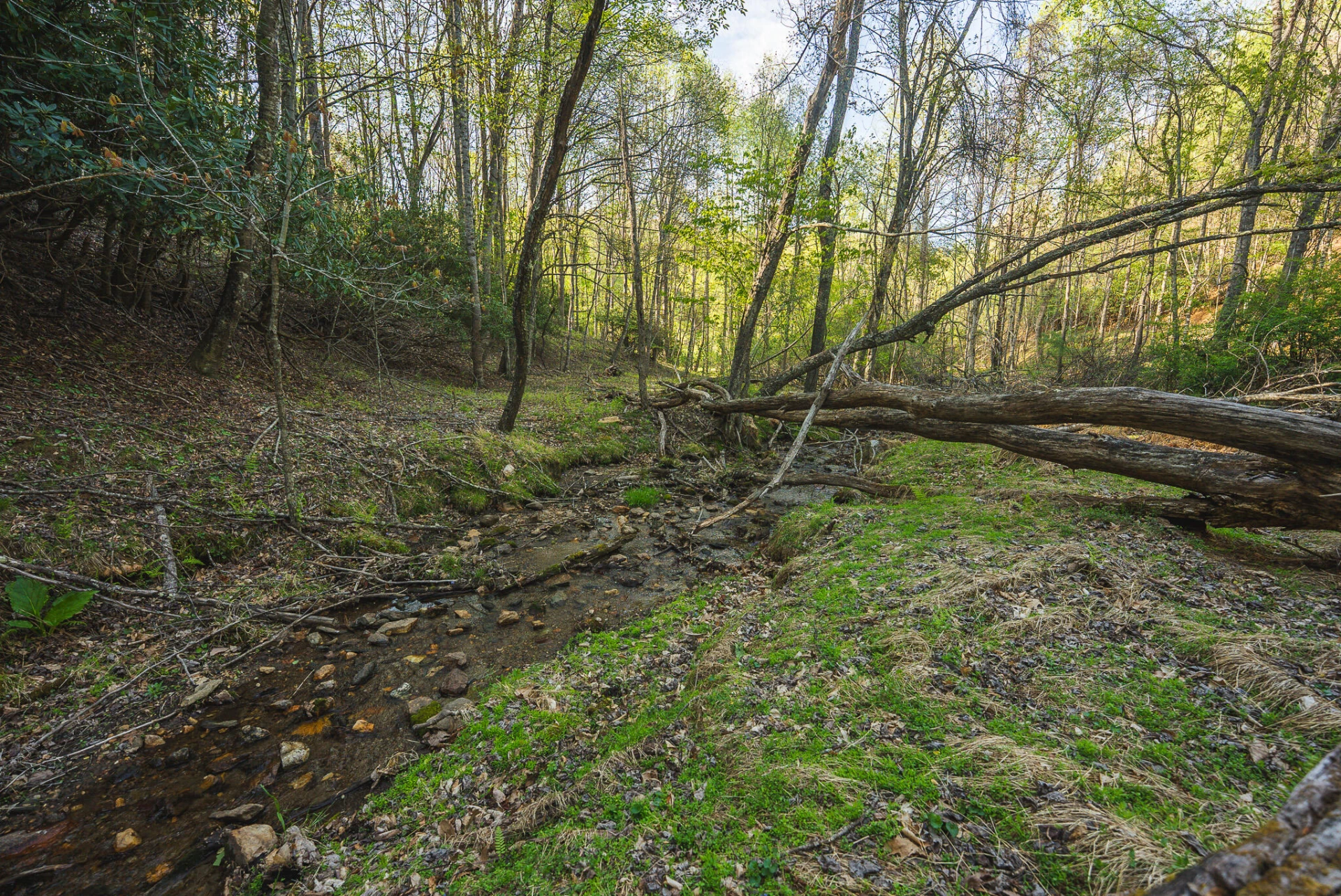 TBD Black Ridge RD SW - Photo 27