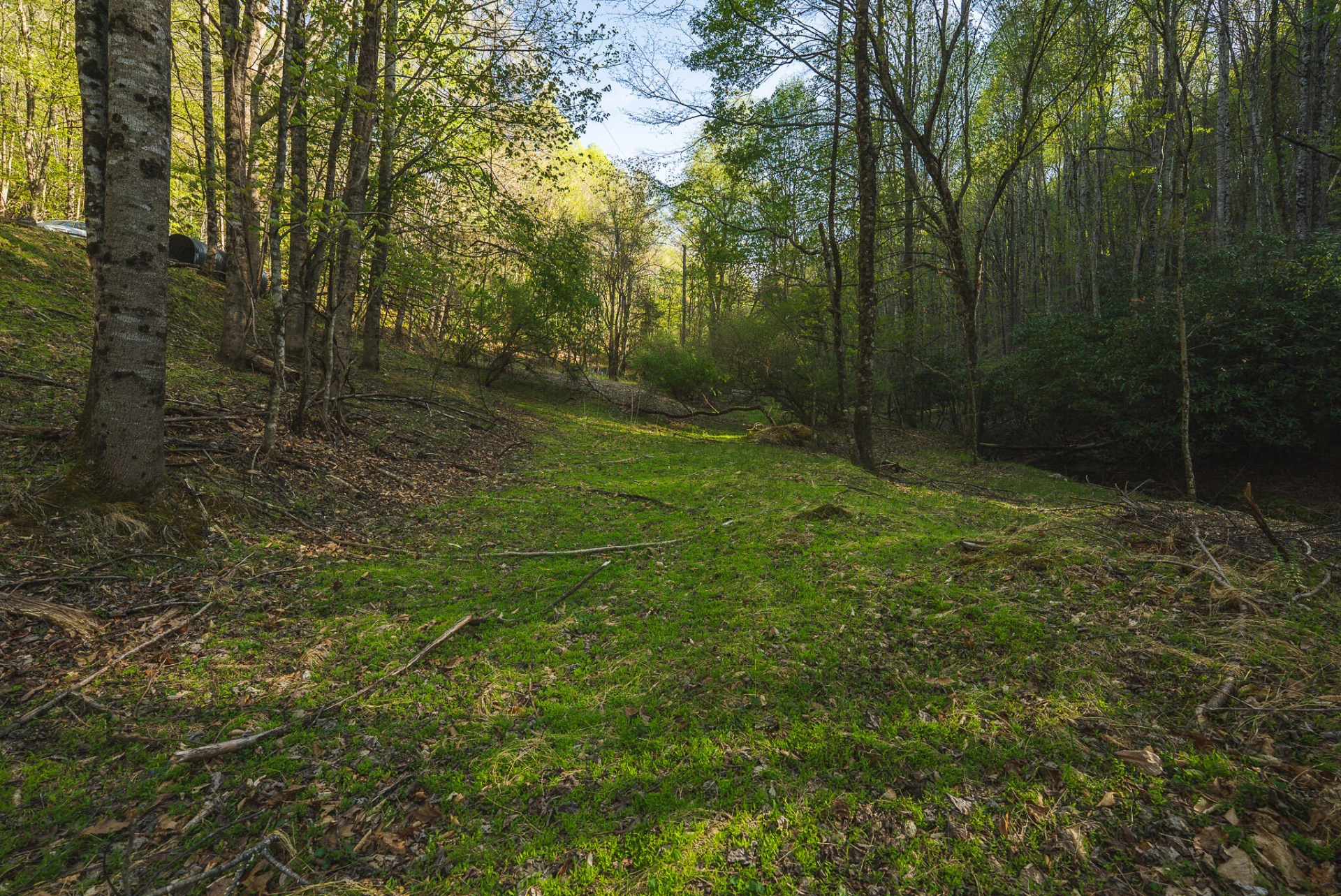 TBD Black Ridge RD SW - Photo 28