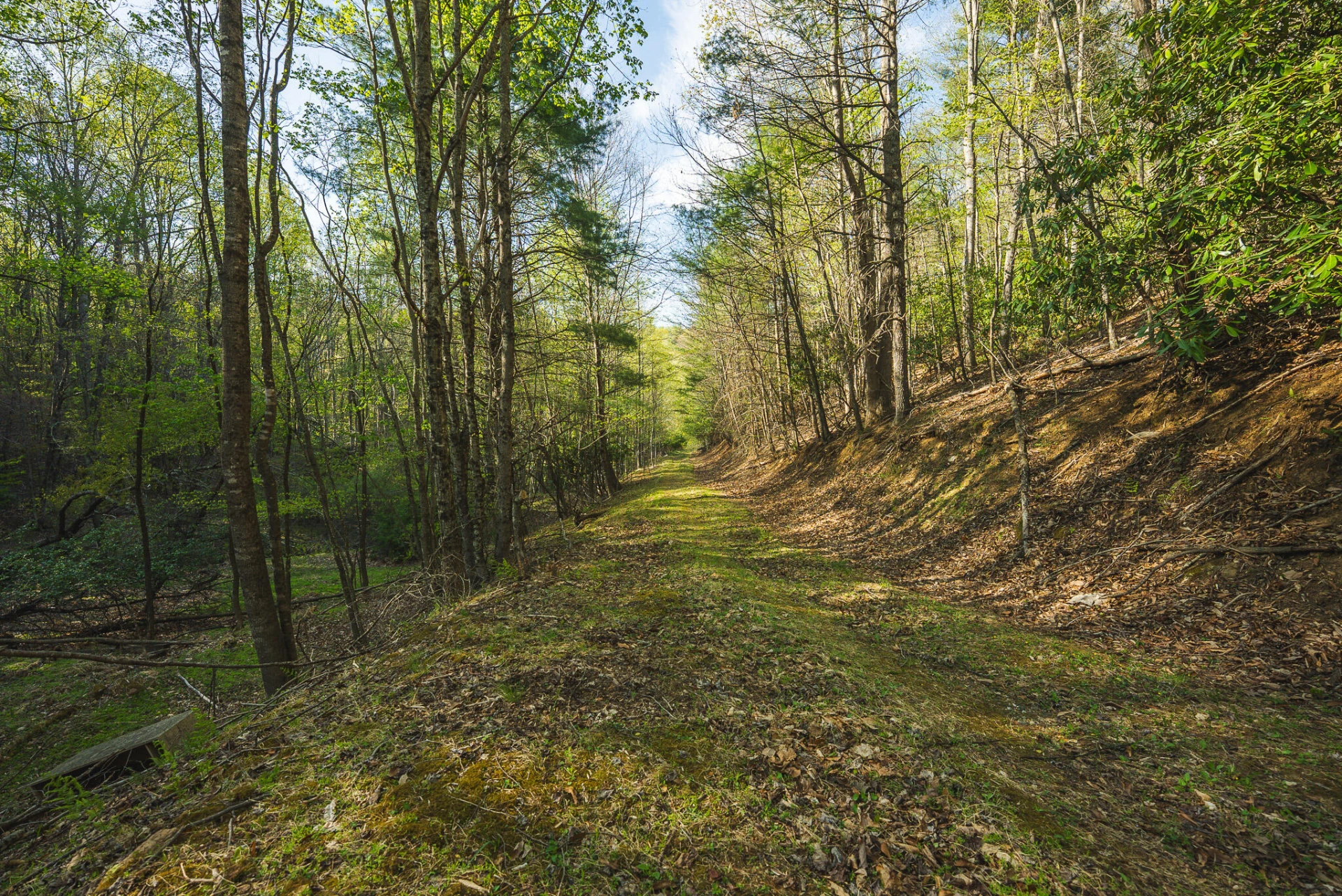 TBD Black Ridge RD SW - Photo 29