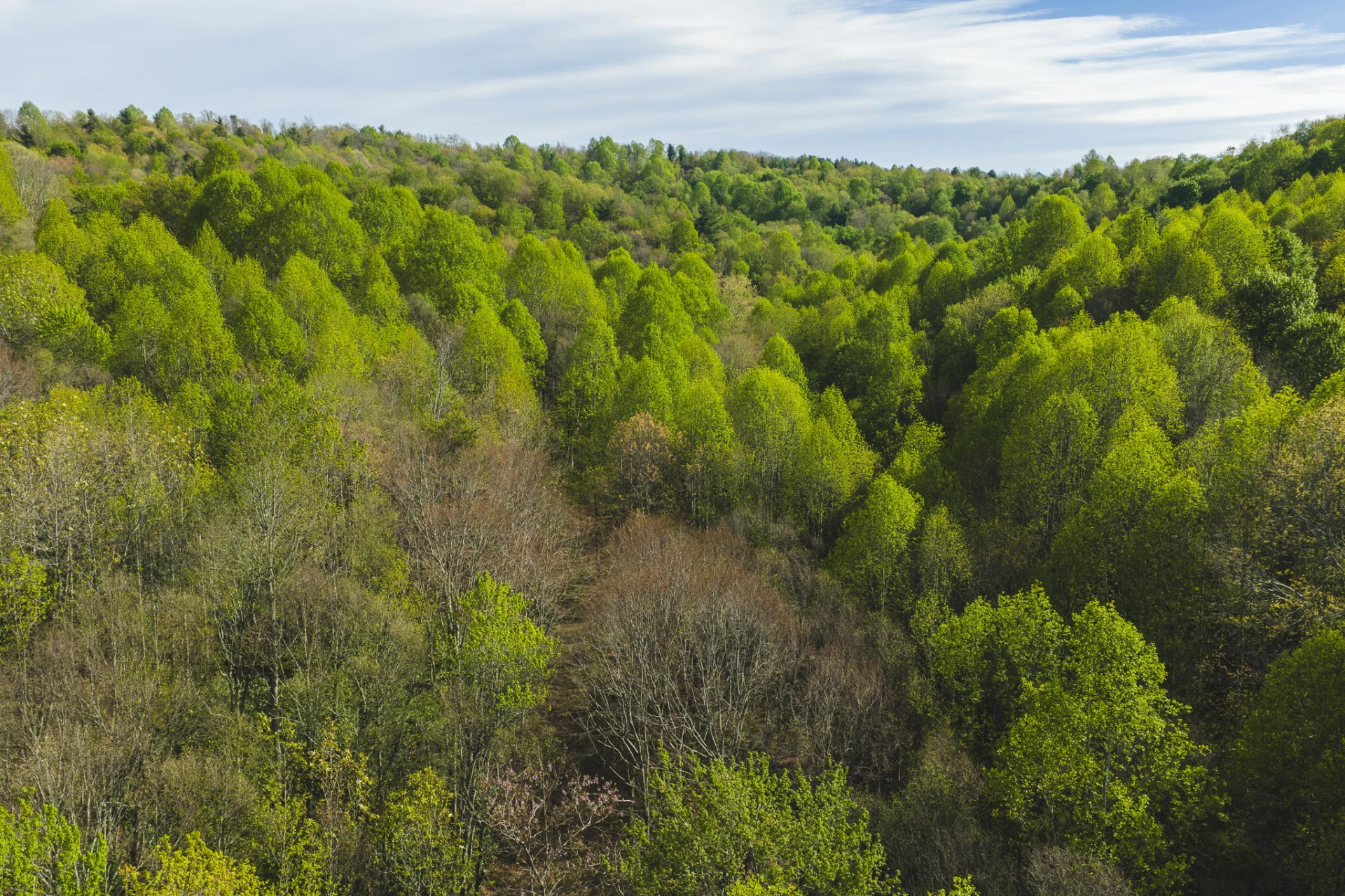 TBD Black Ridge RD SW - Photo 3