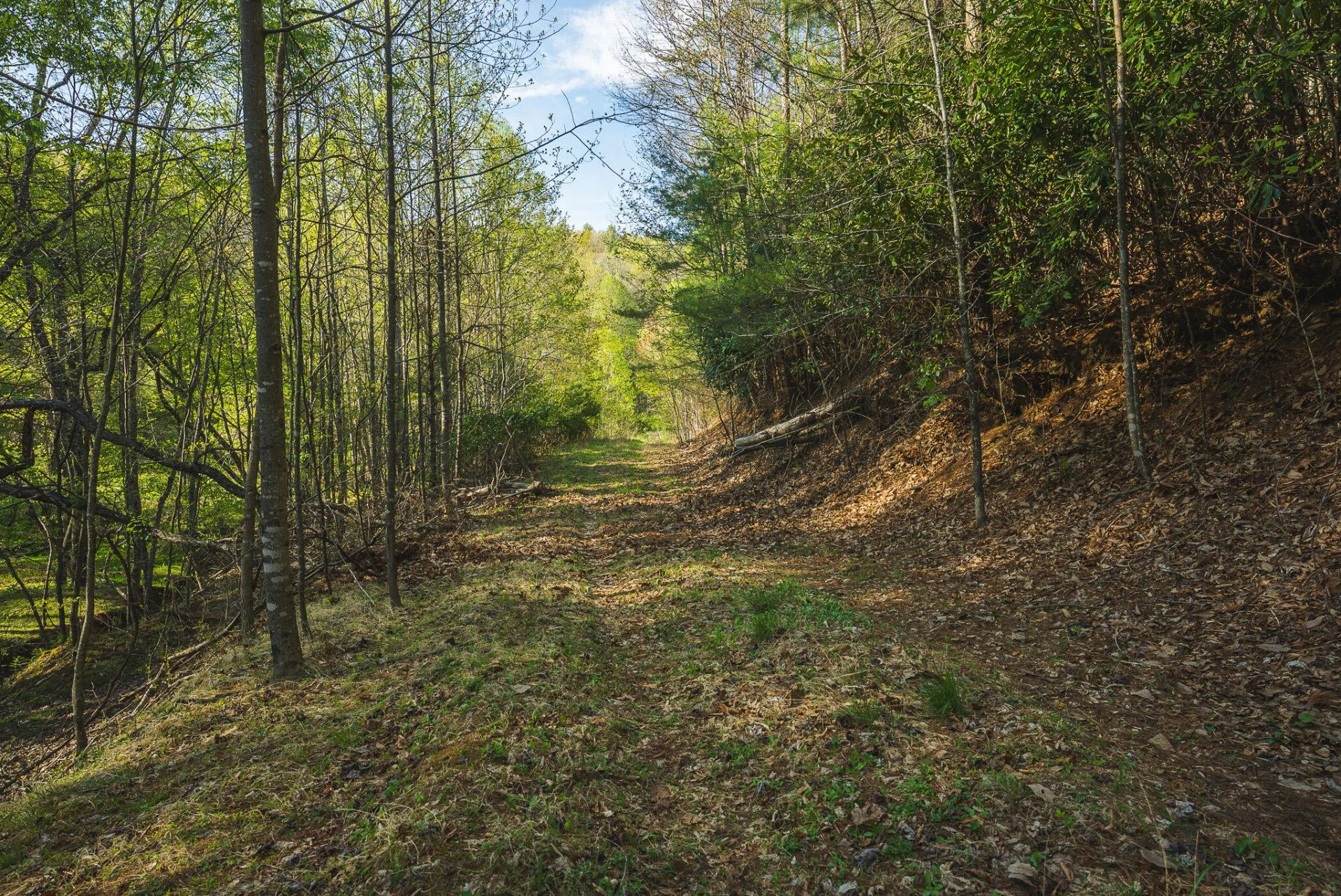 TBD Black Ridge RD SW - Photo 31